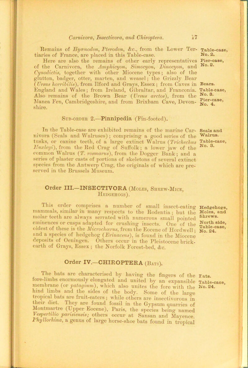 Remains of Eycenodon, Pterodon, &c., from the Lower Ter- tiaries of France, are placed in this Table-case. Here are also the remains of other early representatives of the Carnivora, the Amphicyon, Simocyon, Dinocyon, and Cynodictis, together with other Miocene types; also of the glutton, badger, otter, marten, and weasel; the Grizzly Bear ( Ursus horribilis), from Ilford and Grays, Essex ; from Caves in England and Wales; from Ireland, Gibraltar, and Franconia. Also remains of the Brown Bear (Ursus aretos), from the Manea Fen, Cambridgeshire, and from Brixham Cave, Devon- shire. Sub-order 2.—Pinnipedia (Fin-footed). In the Table-case are exhibited remains of the marine Car- nivora (Seals and Walruses) ; comprising a good series of the tusks, or canine teeth, of a large extinct Walrus (Trichechus Jfuxleyi), from the Red Crag of Suffolk; a lower jaw of the common Walrus (T. rosmarns), from the Dogger Bank; and a series of plaster casts of portions of skeletons of several extinct species from the Antwerp Crag, the originals of which are pre- served in the Brussels Museum. Order III.—INSECTIVORA (Moles, Shrew-Mice, Hedgehogs). This older comprises a number of small insect-eating mammals, similar in many respects to the Rodentia ; but the molar teeth are always serrated with numerous small pointed eminences or cusps adapted for crushing insects. One of the oldest of these is the Microchcerus, from the Eocene of Hordwell; and a species of hedgehog (Erinacens), is found in the Miocene deposits of Oeningen. Others occur in the Pleistocene brick- earth of Grays, Essex; the Norfolk Forest-bed, &c. Order IV.—CHIROPTERA (Bats). The bats are characterised by having the fingers of the fore-limbs enormously elongated and united by an^expansible membrane (or patagium), which also unites the fore with the hind limbs and the sides of the body. Some of the large tropical bats are fruit-eaters; while others are insectivorous in their diet, they are found fossil in the Gypsum quarries of Montmartre (Upper Eocene), Paris, the species being named Vespertilio parisiensis; others occur at Sansan and Mavence Phyllorhma, a genus of large horse-shoe bats found in tropical Table-case, No. 2. Pier-case, No. 2. Bears. Table-case, No. 3. Pier-case, No. 4. Seals and Walrus. Table-case, No. 3. Hedgehog-s, Moles, and Shrews. North side, Table-case, No. 24. Pats. Table-case, No. 24.
