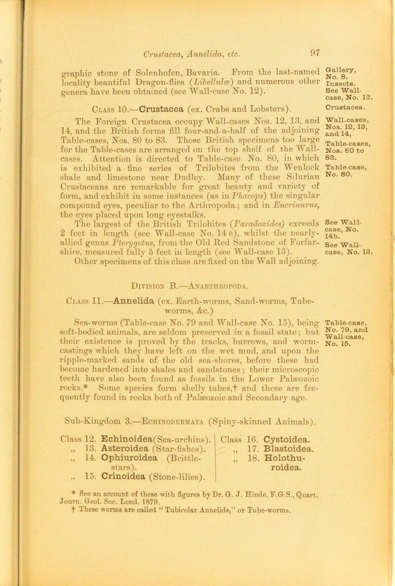 Crustacea, Annelida, etc. graphic stone of Solenhofen, Bavaria. From the last-named locality beautiful Dragon-flies (libelhdce) and numerous other genera have been obtained (see Wall-case No. 12). Class 10.—Crustacea (ex. Crabs and Lobsters). The Foreign Crustacea occupy Wall-cases Nos. 12, 13, and 14, and the British forms fill four-and-a-half of the adjoining Table-cases, Nos. 80 to 83. Those British specimens too large for the Table-cases are arranged on the top shelf of the Wall- cases. Attention is directed to Table-case No. 80, in which is exhibited a fine series of Trilobites from the Wenlock shale and limestone near Dudley. Many of these Silurian Crustaceans aro remarkable for great beauty and variety of form, and exhibit in some instances (as in Phacops) the singular compound eyes, peculiar to the Arthropoda; and in Encrinurus, the eyes placed upon long eyestalks. The largest of the British Trilobites (Paradoxules) exceeds 2 feet in length (see Wall-case No. 14 b), whilst the nearly- allied genus Pterygotus, from the Old Red Sandstone of Forfar- shire, measured fully 5 feet in length (see Wall-case 13). Other specimens of this class are fixed on the Wall adjoining. Division B.—Anarthropoda. Class 11.—Annelida (ex. Earth-worms, Sand-worms, Tube- worms, &c.) Sea-worms (Table-case No. 79 and Wall-case No. 15), being soft-bodied animals, are seldom preserved in a fossil state; but their existence is proved by the tracks, burrows, and worm- castings which they have left on the wet mud, and upon the ripple-marked sands of the old sea-shores, before these had become hardened into shales and sandstones ; their microscopic teeth have also been found as fossils in the Lower Palieozoic rocks.* Some species form shelly tubes,t and these are fre- quently found in rocks both of Palteozoic and Secondary age. Sub-Kingdom 3.—Echinodermata (Spiny-skinned Animals). Class 12. Echinoidea(Sea-urchins). „ 13. Asteroidea (Star-fishes). „ 14. Ophiuroidea (Brittle- stars). „ 15. Crinoidea (Stone-lilies). Class 16. Cystoidea. „ 17. Blastoidea. „ 18. Holothu- roidea. * See an account of these with figures by Dr. G. J. Hinde, F.G.S., Quart. Journ. Geol. Soc. Lond. 1879. t These worms are called “ Tubicolar Annelids,” or Tube-worms. Gallery, No. 8. Insects. See Wall- ease, No. 12. Crustacea. Wall-cases, Nos. 12, 13, and 14, Table-cases, Nos. SO to 83. Table-case, No. 80. See Wall- case, No. 14b. See Wall- case, No. 13. Table-case, No. 79, and Wall-case, No. 15. i