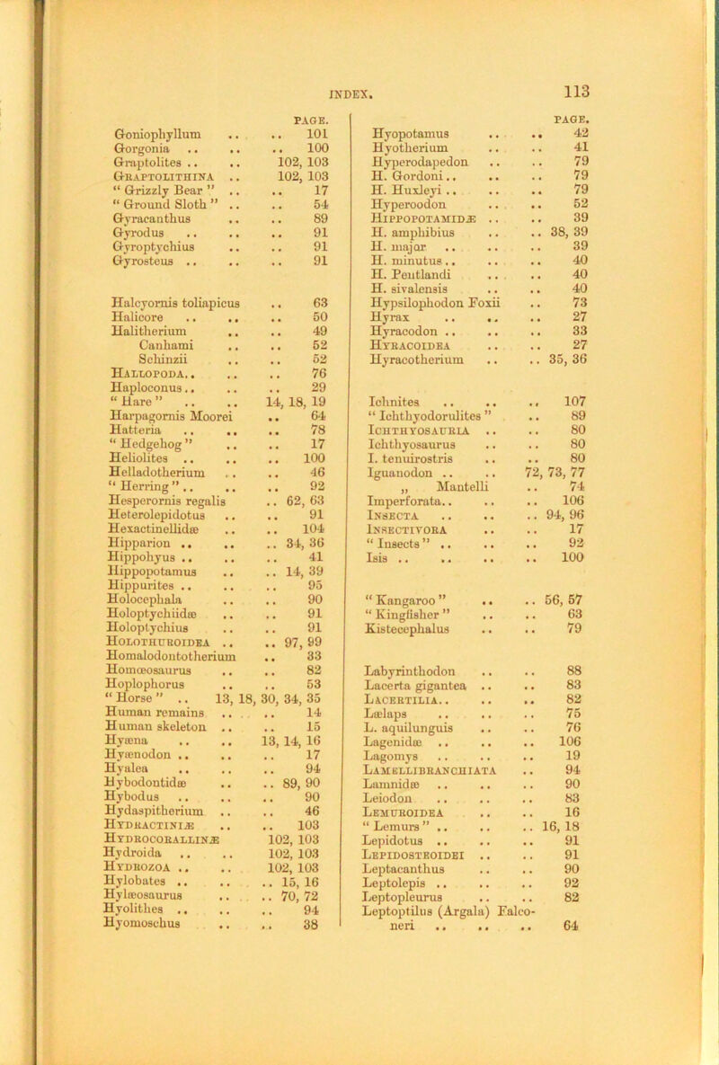 Goniophyllum PAGE. 101 Hyopotamus PAGE. 42 Gorgonia .. .. 100 Hyotherium .. 41 Graptolites .. 102, 103 Hyperodapedon .. 79 Geaptolithina .. 102, 103 H. Gordoni.. •. 79 “ Grizzly Bear ” .. 17 H. Huxleyi .. 79 “ Ground Sloth ” .. 54 Hyperoodon 52 Gyracanthus 89 Hippopoxamidas ,, 39 Gyrodus 91 H. ampbibius .. .. 38, 39 Gyroptychius 91 H. major 39 Gyrosteus .. 91 H. minutus.. 40 Halcyornis toliapicus 63 H. Peutlandi H. sivalensis Hypsilopbodon Foxii 40 40 73 Halicore 50 Hyrax • • 27 Halitherium 49 Hyracodon .. a a .. 33 Canliami 52 Htbacoidea , , 27 Scliinzii 52 Hyracotherium . . .. 35, 36 Hallopoda. . Haploconus.. “ Hare ” .. 76 ihsM Ichnites 107 Harpagornis Moorei 64 “ Ichthyodorulites »> 89 Hatteria .. .. 78 ICHTHYOSAGELA , , 80 “ Hedgehog ” 17 Ichthyosaurus , . 80 Heliolites .. 100 I. tenuirostris , , SO Helladotherium 46 Iguanodon .. , , 72, 73, 77 “ Herring ” .. 92 „ Mantelli 74 Hesperornis regalia .. 62, 63 Imperforata.. • , 106 Heterolepidotua 91 Insecta .. 94, 96 Hexactinellid® 104 Insectiyoea 17 Hipparion .. .. 34, 36 “ Insects ” .. 92 Hippohyus .. 41 Isis .. • « 100 Hippopotamus Hippurites .. Holocephala .. 14, 39 95 90 “ Kangaroo ” • .. 56, 57 Holoptychiid® 91 “ Kingfisher ” . . 63 Holoptychiua 91 Kisteeephalus 79 Holothuboidea .. Homalodontotherium Homoeosaurus .. 97,99 .. 33 82 Labyrinthodon 88 Hoplophorus 53 Lacerta gigantea 83 “ Horse ’’ .. 13, 18, 30, 34, 35 Lacebtilia. . 82 Human remains .. 14 L®laps 75 Human skeleton .. .. 15 L. aquilunguis 76 Hycena 13, 14, 16 Lagenid® 106 Hyamodon .. 17 Lagomys 19 Hyalea .. 94 Lamellibbancuiata 94 Hybodontid® .. 89, 90 Lamnidro 90 Hybodus 90 Leiodon 83 Hydaspitherium 46 Lemgeoidea 16 Htdeactini^: 103 “ Lemurs ” ,. .. 16, 18 Htdeocoeaxiinje 102, 103 Lepidotus .. 91 Hydroida 102, 103 Lepidosteoidei 91 Hi'DBOZOA .. 102, 103 Leptacanthus 90 Hylobates ,. .. 15, 16 Leptolepis .. 92 Hylffiosaurus Leptopleurus 82 Hyolithes ,. 94 Leptoptilus (Argah Falco- Hyomoschus .. .. 38 neri • • .. 64