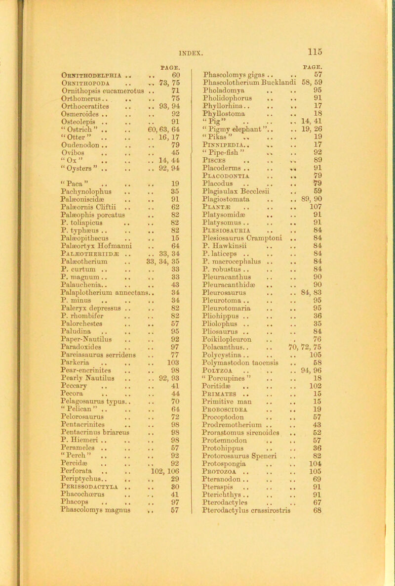 PAGE. PAGE. Ohnithodexphia .. .. 60 Phascolomys gigas .. • . 57 Ornitiiopoda .. 73,75 Phaseolotherium Bucklandi 58, 59 Ornithopsis eucamerotus 71 Pholadomya 95 Orthomerus.. .. 75 Pholidophorus .. 91 Orthoceratites .. 93,94 Phyllorhina .. .. 17 Osmeroides .. 92 Phvllostoma 18 Osteolepis .. 91 “Pig” 14, 41 “Ostrich” .. 60, 63, 64 “ Pigmy elephant ”.. 19, 26 “Otter” .. .. 16, 17 “Pikas” .» 19 Oudenodon .. 79 Pinnipedia. . 17 Ovibos .. 45 “Pipe-fish” 92 “Os” .. 14, 44 Pisces 89 “ Oysters ” .. .. 92, 94 Placoderms .. « • 91 Placodontia 79 “ Paca ” 19 Placodus 79 Pacliynolophus 35 Plagiaulax Becclesii 59 Palceoniscid® 91 Plagiostomata 89, 90 Palaornis Cliftii 62 PLANTA3 107 Palffiophis porcatus 82 Platysomid® 91 P. toliapicus 82 Platysomus .. 91 P. typh®us .. .. 82 Plesiosauria 84 Palroopitbecus 15 Plesiosaurus Cramptoni 84 Palffiortyx Hofmanni 64 P. Hawkinsii 84 Pal^otheriida: .. .. 33, 34 P. laticeps .. 84 Palffiotberium 33, 34, 35 P. macrocephalus .. 84 P. curtum .. 33 P. robustus .. 84 P. magnum .. .. 33 Pleuracanthus 90 Palauchenia.. .. 43 Pleuracantbid® .. 90 Palaplotherium annectans.. 34 Pleurosaurus 84, 83 P. minus .. .. 34 Pleurotoma.. 95 Paleryx depressus .. 82 Pleurotomaria 95 P. rhombifer 82 Pliohippus .. 36 Palorehestes .. 57 Pliolophus .. 35 Paludina 95 Pliosaurus .. 84 Paper-Nautilus 92 Poikilopleuron 76 Paradoxides 97 Polaeantlius.. 70, 72, 75 Pareiasaurus serridens 77 Polyeystina.. 105 Parkeria .. .. .. 103 Polymastodon taoensis 58 Pear-encrinites .. 98 POLYZOA . . .. 94, 96 Pearly Nautilus .. 92,93 “ Porcupines ” 18 Peccary .. 41 Poritidse .. 102 Pecora ,. 44 Primates .. 15 Pelagosaurus typus.. 70 Primitive man 15 “Pelican” .. 64 Proboscidea 19 Pelorosaurus 72 Procoptodon 57 Pentacrinites 98 Prodremotherium .. 43 Pentacrinus briareus .. 98 Prorastomus sirenoides 52 P. Hiemeri .. 98 Protemnodon 57 Perameles .. 57 Protohippus .. 36 “Perch” .. 92 Protorosaurus Speneri 82 Percid® 92 Protospongia 104 Perforata 102, 106 Protozoa .. 105 Periptyehus.. ,, .. 29 Pteranodon .. 69 Perissodactyla .. .. 80 Pteraspis 91 Phacochoerus 41 Pterichthys .. 91 Phacops .. ,. .. 97 Pterodactyles 67 Phascolomys magnus .. 57 Pterodactylus crassirostris 68