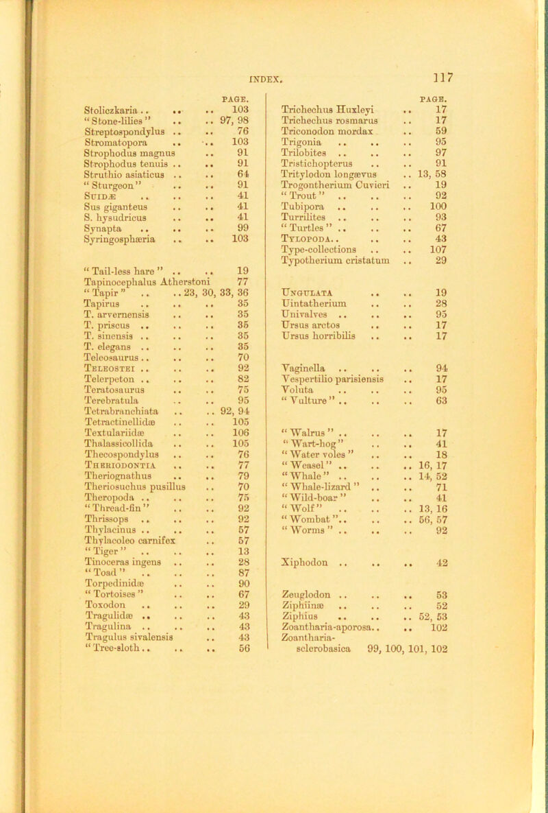 PAGE. PAGE. Stoliczkaria .. .. .. 103 Trichechus Huxleyi 17 “Stone-lilies” .. .. 97, 98 Trichechus rosmarus 17 Streptospondylus .. 76 Triconodon mordax 59 Stromatopora .. 103 Trigonia .. 95 Strophodus magnus 91 Trilobites 97 Strophodus tenuis .. 91 Tristichopterus 91 Struthio asiaticus .. 64 Tritylodon longsevus 13, 58 “Sturgeon” 91 Trogontherium Cuvieri 19 Suidas .. .. 41 “ Trout ” 92 Sus giganteus 41 Tubipora 100 S. hysudricus 41 Turrilites 93 Synapta .. .. 99 “Turtles” .. 67 Syringosphseria 103 Tylopoda. . 43 Type-collections 107 Typotherium cristatum 29 “ Tail-less hare ” .. 19 Tapinocephalus Atherstoni 77 “ Tapir ” .. .. 23, 30, 33, 36 Ungulata 19 Tapirus .. .. .. 35 Uintatherium 28 T. arvernensis 35 Univalves .. 95 T. priscus .. 35 Ursus arctos • • 17 T. sinensis .. 35 Ursus horribilis • • 17 T. elegans .. 35 Teleosaurus.. 70 Teleostei .. 92 Yaginella • • 94 Telerpeton .. 82 Yespertilio parisiensis . • 17 Teratosaurus 75 Voluta , # 95 Terebratula .. 95 “Vulture”.. , , 63 Tetrabra nchiata .. 92, 94 Tetractinellid® 105 Textulariid® 106 “Walrus” .. • • 17 Thalassieoliida 105 “Wart-hog” • • 41 Thecospondylus 76 “ Water voles ” • • 18 Thbriodontia 77 “Weasel” .. 16, 17 Theriognathus .. 79 “Whale” .. 14, 52 Theriosuchus pusillus 70 “ Whale-lizard ” .. 71 Theropoda .. 75 “ Wild-boar ” 41 “Thread-fin” 92 “Wolf” .. 13, 16 Thrissops .. 92 “Wombat”.. 56, 57 Thylacinus .. 57 “Worms” .. 92 Thylacoleo earnifex 57 “Tiger” .. 13 Tinoceras ingens 28 Xipliodon .. • a 42 “ Toad ” 87 Torpedinid® 90 “ Tortoises ” 67 Zeuglodon .. 53 Toxodon .. 29 Ziphiin® 52 Tragulid® .. 43 Ziphius .. , . 52, 53 Tragulina .. .. 43 Zoantharia-aporosa.. • • 102 Tragulus sivalensis 43 Zoantliaria- “ Tree-sloth.. ,. 56 sclerobasica 99, 10C , 101, 102