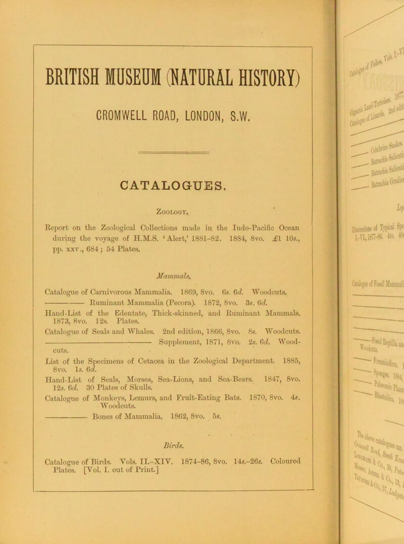 CROMWELL ROAD, LONDON, 8.W. CATALOGUES. Zoology. Report on the Zoological Collections made in the Indo-Pacific Ocean during the voyage of II.M.S. ‘ Alert,’ 1881-82. 1884, 8vo. i,'l 10s., pp. xxv., 684 ; 54 Plates. Mammals, Catalogue of Carnivorous Mammalia. 1869, 8vo. 6s. 6d. Woodcuts. Ruminant Mammalia (Pecora). 1872, 8vo. 3s. 6d. Hand-List of the Edentate, Thick-skinned, and Ruminant Mammals. 1873, 8vo. 12s. Plates. Catalogue of Seals and Whales. 2nd edition, 1866, 8vo. 8s. Woodcuts. Supplement, 1871, 8vo. 2s. Gd. Wood- cuts. List of the Specimens of Cetacea in the Zoological Department. 1885, 8vo. Is. 6d. Hand-List of Seals, Morses, Sea-Lions, and Sea-Bears. 1847, 8vo. 12s. 6d. 30 Plates of Skulls. Catalogue of Monkeys, Lemurs, and Fruit-Eating Bats. 1870, 8vo. 4s. Woodouts. Bones of Mammalia, 1862, 8vo. 5s. Birds, Catalogue of Birds. Yols. II.-XIV. 1874-86, 8vo. 14s.-26s. Coloured Plates. [Vol. I. out of Print.]