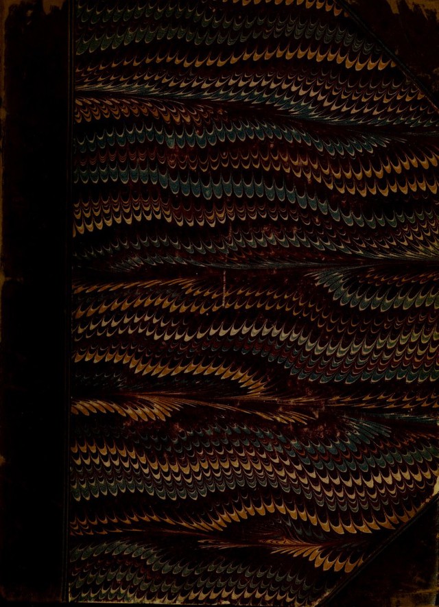 digitised image 1
