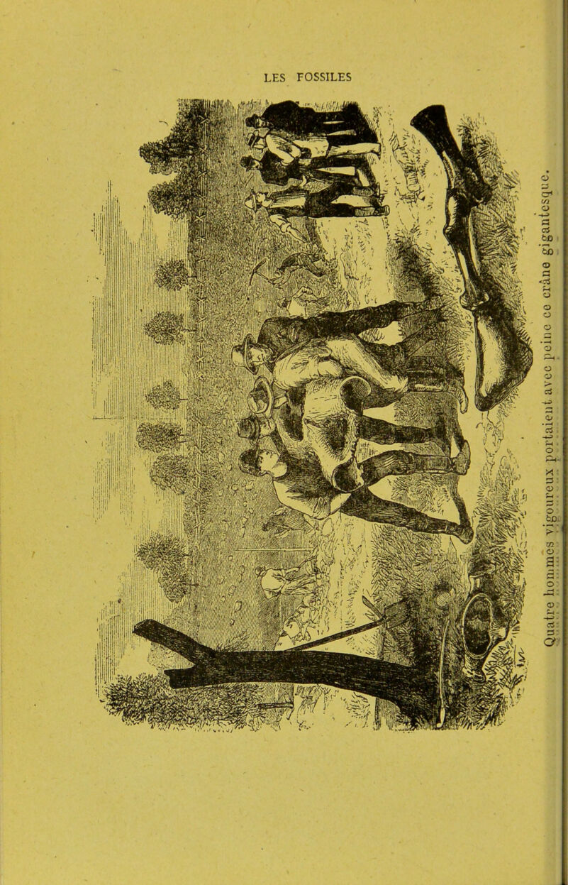 ci fca Eb <D r* ’r-K O O O O O s • O p-l- D O O t£.