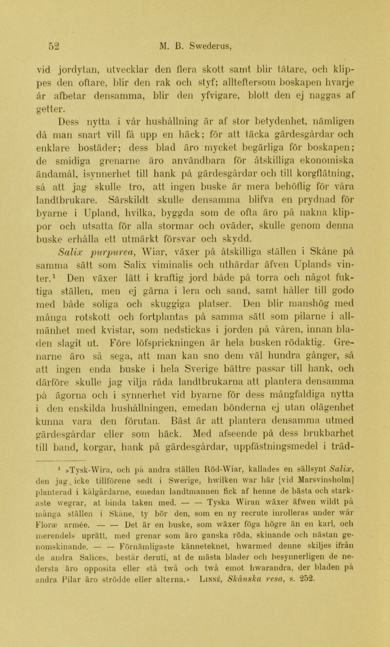 vid jordytan, utvecklar den flera skott samt blir tätare, och klip- pes den oftare, blir den rak ocli styf; allteftersom boskapen hvarje år afbetar densamma, blir den yfvigare, blott den ej naggas af getter. Dess nytta i då man snart vill enklare bostäder; de smidiga vår hushållning är af stor betydenhet, nämligen få upp en häck; för att täcka gärdesgårda]* och dess blad äro mycket begärliga för boskapen; äro användbara för åtskilliga ekonomiska grenarne ändamål, isynnerhet till hank på gärdesgårdar och till korgflätning, så att jag skulle tro, att ingen buske är mera behöflig för våra landtbrukare. Särskildt skulle densamma blifva en prydnad för byarne i Upland, hvilka, byggda som de ofta äro på nakna klip- por och utsatta för alla stormar och oväder, skulle genom denna buske erhålla ett utmärkt försvar och skydd. Salix piirimrea, Wiar, växer på åtskilliga ställen i Skåne på samma sätt som Salix viminalis och uthärdar äfven Uplands vin- ter.^ Den växer lätt i kraftig jord både på torra och något fuk- tiga ställen, men ej gärna i lera och sand, samt håller till godo med både soliga och skuggiga platser. Den blir manshög med många rotskott och fortplantas på samma sätt som pilarne i all- mänhet med kvistar, som nedstickas i jorden på våren, innan bla- den slagit ut. Före löfsprickningen är hela busken rödaktig. Gre- narne äro så sega, att man kan sno dem väl hundra gånger, så att ingen enda buske i hela Sverige bättre passar till hank, och därföre skulle jag vilja råda landlbrukarna att plantera densamma på ägorna och i synnerhet vid byarne för dess mångfaldiga nytta i den enskilda hushållningen, emedan bönderna ej utan olägenhet kunna vara den förutan. Bäst är att plantera densamma utmed gärdesgårdar eller som häck. Med afseende på dess brukbarhet till band, korgar, hank på gärdesgårdar, uppfästningsmedel i träd- ‘ »Tysk-Wira, och pä andra ställen Röd-Wiar, kallades en sällsynt Salix, den jag icke tillförene sedt i Swerige, liwilken war här [vid Marsvinsholm] planterad i kälgårdarne, emedan landtmannen fick af henne de bästa och stark- aste wegrar, at Ihiida taken med. — — Tyska Wiran wäxer äfwen wildt på många ställen i Skåne, ty bör den, som en ny recrute inrolleras under wår Florm arrnée. — — Det är en buske, som wäxer föga högre än en karl, och merendels uprätt, med grenar som äro ganska röda, skinande och nästan ge- nomskinande. — — Förnämligaste känneteknet, hwarmed denne skiljes ifrån de andra Salices, består deruti, at de rnästa blader och hesynnerligen de ne- dersta äro opposita eller stå twå och twå emot hwarandra, der bladen på andra Pilar äro strödde eller alterna.» Linné, Skånska resa, s. '252.