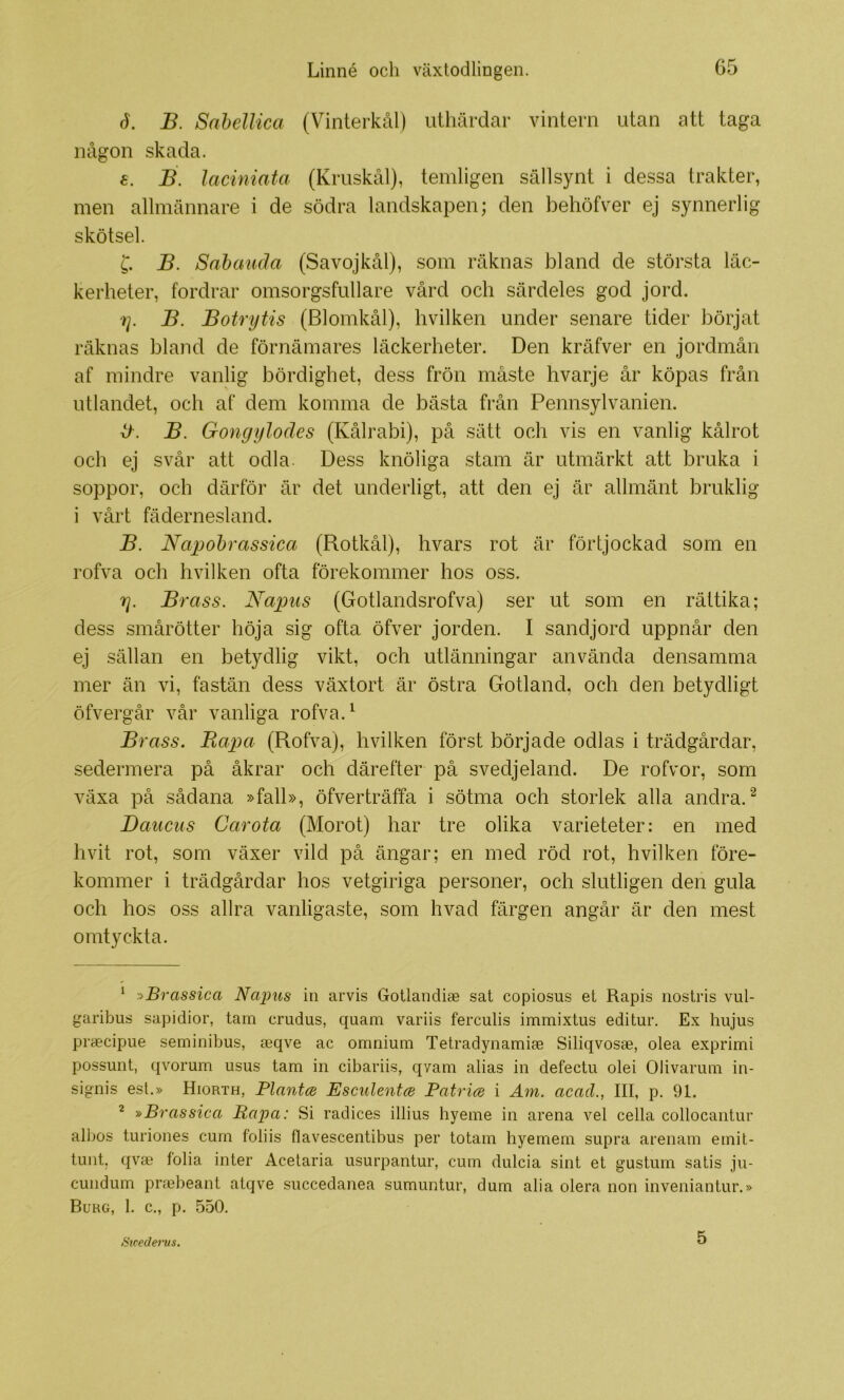 d. B. Sahellica (Vinterkål) uthärdar vintern utan att taga någon skada. e. B. laciniata (Kruskål), temligen sällsynt i dessa trakter, men allmännare i de södra landskapen; den behöfver ej synnerlig skötsel. C. B. Sahauda (Savojkål), som räknas bland de största läc- kerheter, fordrar omsorgsfullare vård och särdeles god jord. 1]. B. Botrytis (Blomkål), hvilken under senare tider börjat räknas bland de förnämares läckerheter. Den kräfver en jordmån af mindre vanlig bördighet, dess frön måste hvarje år köpas från utlandet, och af dem komma de bästa från Pennsylvanien. B. Gongylodes (Kålrabi), på sätt och vis en vanlig kålrot och ej svår att odla. Dess knöliga stam är utmärkt att bruka i soppor, och därför är det underligt, att den ej är allmänt bruklig i vårt fädernesland. B. Napohrassica (Rotkål), hvars rot är förtjockad som en rofva och hvilken ofta förekommer hos oss. y. Brass. Napus (Gotlandsrofva) ser ut som en rättika; dess smårötter höja sig ofta öfver jorden. I sandjord uppnår den ej sällan en betydlig vikt, och utlänningar använda densamma mer än vi, fastän dess växtort är östra Gotland, och den betydligt öfvergår vår vanliga rofva. ^ Brass. JRapa (Rofva), hvilken först började odlas i trädgårdar, sedermera på åkrar och därefter på svedjeland. De rofvor, som växa på sådana »fall», öfverträffa i sötma och storlek alla andra. Daucus Carota (Morot) har tre olika varieteter: en med hvit rot, som växer vild på ängar; en med röd rot, hvilken före- kommer i trädgårdar hos vetgiriga personer, och slutligen den gula och hos oss allra vanligaste, som hvad färgen angår är den mest omtyckta. ^ y>Brassica Napus iii arvis Gotlandiae sat copio.sus el Rapis nostris vul- garibus sapidior, tam crudus, quam variis ferculis immixtus editur. Ex hujus praecipue seminibus, aeqve ac omnium Telradynamiae Siliqvosae, olea exprimi possunt, qvorum usus tam in cibariis, qvam alias in defectu olei Olivarum in- signis est.» Hiorth, Plantce Esculentce Patrice i Am. acad., III, p. 91. ^ »Brassica Rapa: Si radices illius hyeme in arena vel cella collocantur albos turiones curn foliis flavescentibus per totam hyemern supra arenam emil- tunt, qvaa folia inter Acetaria usurpantur, cum dulcia sint et gustum satis ju- cundum prmbeant atqve siiccedanea sumuntur, dum ali a olera non inveniantur.» Burg, 1. c., p. 550. Stcedems. 5