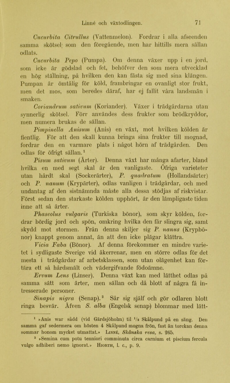Cuciirbita Citrullus (Vattennielon). Fordrar i alla afseendeii samma skötsel; som den föregående, men har hittills mera sällan odlats. Cucurhita Pepo (Pumpa). Om denna växer upp i en jord, som icke är gödslad och fet, behöfver den som mera utvecklad en hög ställning, på hvilken den kan fästa sig med sina klängen. Pumpan är ömtålig för köld, frambringar en ovanligt stor frukt, men det mos, som beredes däraf, har ej fallit våra landsmän i smaken. Coriandrum sativum (Koriander). Växer i trädgårdarna utan synnerlig skötsel. Förr användes dess frukter som brödkryddor, men numera brukas de sällan. Pimpinella Anisum (Anis) en växt, mot hvilken kölden är fientlig. För att den skall kunna bringa sina frukter till mognad, fordrar den en varmare plats i något hörn af trädgården. Den odlas för öfrigt sällan.^ Pisiim sativum (Ärter). Denna växt har många afarter, bland hvilka en med segt skal är den vanligaste. Öfriga varieteter utan hårdt skal (Sockerärter), P. quadratiim (Hollandsärter) och P. nanum (Krypärter), odlas vanligen i trädgårdar, och med undantag af den sistnämnda måste alla dessa stödjas af riskvistar. Först sedan den starkaste kölden upphört, är den lämpligaste tiden inne att så ärter. Phaseolus vulgaris (Turkiska bönor), som skyr kölden, for- drar bördig jord och spön, omkring hvilka den får slingra sig, samt skydd mot stormen. Från denna skiljer sig P. nanus (Krypbö- nor) knappt genom annat, än att den icke plägar klättra. Vida Faha (Bönor). Af denna förekommer en mindre varie- tet i sydligaste Sverige vid åkerrenar, men en större odlas för det mesta i trädgårdar af arbetsklassen, som utan olägenhet kan för- tära ett så hårdsmält och vädergifvande födoämne. Ervum Lens (Linser). Denna växt kan med lätthet odlas på samma sätt som ärter, men sällan och då blott af några få in- tresserade personer. Sinapis nigra (Senap). ^ Sår sig själf och gör odlaren blott ringa besvär. Åfven S. alha (Engelsk senap) blommar med lätt- ^ »Anis war sådd (vid Gärdsjöholm) til V2 Skålpund på en säng. Den samma gaf sedermera om hösten 4 Skålpund mogna frön, fast än torckan denna sommar honom mycket utmattat.» Linné, Skånska resa, s. 265. ^ »Semina cum potu tenniori comminuta circa carnium et piscium fercula vulgo adhiberi nemo ignorat.» Hiorth, 1. c., p. 9.