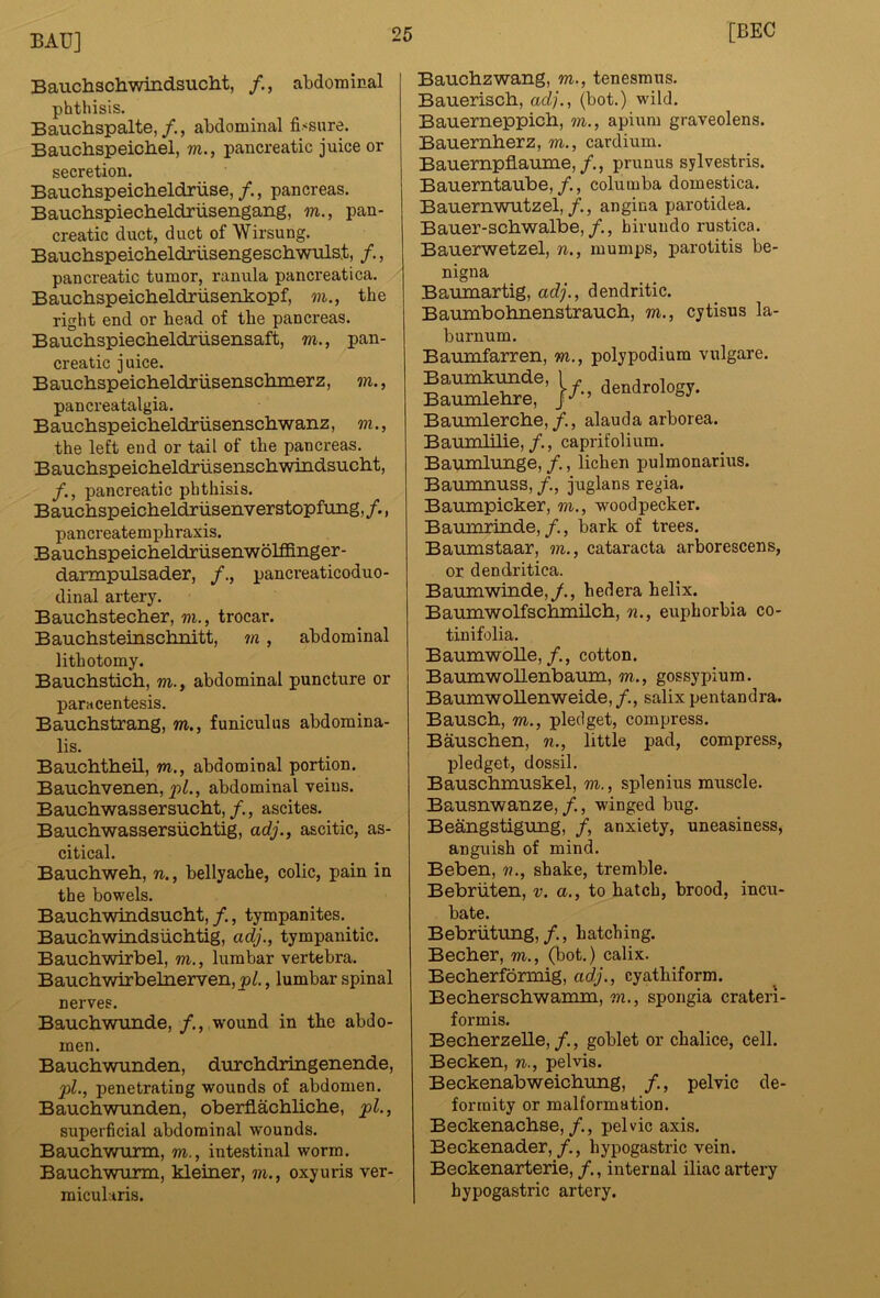 Bauchschwindsuclit, /,, abdominal phthisis. Bauchspalte, /., abdominal fissure. Bauctispeicliel, m., pancreatic juice or secretion. Bauchspeiclieldriise, /., pancreas. Bauchspiecheldrusengang, m., pan- creatic duct, duct of Wirsung. Bauchspeicheldrusengeschwuls.t, /., pancreatic tumor, ranula pancreatica. Bauchspeicheldrusenkopf, m., the right end or bead of the pancreas. Bauchspiecheldriisensaft, w., pan- creatic juice. Bauchspeicheldriisensclimerz, in., pancreatalgia. Bauchspeicheldrusenscliwaiiz, m., the left end or tail of the pancreas. Bauchspeicheldrusenschwindsucht, /., pancreatic phthisis. Bauchspeicheldriisenverstopfimg, /., pancreatemphraxis. Bauchspeicheldriisenwolffinger- darmptilsader, /., pancreaticoduo- dinal artery. Bauchstecher, w., trocar. Bauchsteinschnitt, in, abdominal lithotomy. Bauchstich, m., abdominal puncture or paracentesis. Bauchstrang, m., funiculus abdomina- lis. Bauchttieil, m., abdominal portion. Bauchvenen, pL, abdominal veins. Baucliwassersucht,/., ascites. Bauchwassersiichtig, adj., ascitic, as- citical. Bauchweh, n., bellyache, colic, pain in the bowels. Bauchvraidsuclit, /., tympanites. Bauchwindsiiclitig, adj., tympanitic. Bauchwirbel, m., lumbar vertebra. Baucliwirbelnerven,j3/., lumbar spinal nerves. Baucbwunde, /., wound in the abdo- men. Bauchwunden, durcbdringenende, pi., penetrating wounds of abdomen. Bauchwunden, oberflachliche, pi., superficial abdominal wounds. Bauchwurm, m., intestinal worm. Bauchwurm, kleiner, in., oxyuris ver- miculiris. Bauchzwang, m., tenesmus. Bauerisch, adj., (bot.) wild. Bauerneppich, in., apium graveolens. Bauernherz, m., cardium. Bauempflaume,prunus sylvestris. Bauerntaube,/., columba domestica. Bauernwutzel,/., angina parotidea. Bauer-schwalbe,/., hirundo rustica. Bauerwetzel, n., mumps, parotitis be- nigna Bavunartig, adj., dendritic. Baumbohnenstrauch, m., cytisus la- burnum. Baumfarren, tn., polypodium vulgare. Bamnlerche,/., alauda arborea. Baumlilie, /., caprifolium. Baumlunge, /., lichen pulmonarius. Bamnnuss, /., juglans regia. Baiunpicker, m., woodpecker. Baumrinde,/., bark of trees. Baumstaar, in., cataracta arborescens, or dendritica. Bamnwinde,/., hedera helix. Baumwolfschmilch, n., euphorbia co- tiuifolia. BaumwoUe,/., cotton. BaumwoUenbaum, m., gossypium. Baumwollenweide,/., salix pentandra. Bausch, m., pledget, compress. Bauschen, n., little pad, compress, pledget, dossil. Bauschmuskel, m., splenius muscle. Bausnwanze,/., winged bug. Beangstigung, /, anxiety, uneasiness, anguish of mind. Beben, n., shake, tremble. Bebrliten, v. a., to hatch, brood, incu- bate. Bebriitung,/., hatching. Becher, m., (bot.) calix. Becherfonnig, adj., cyathiform. Becherschwamm, m., spongia crateri- formis. Becherzelle, /., goblet or chalice, cell. Becken, n., pelvis. Beckenabweichung, /., pelvic de- formity or malformation. Beckenachse,/., pelvic axis. Beckenader,/., hypogastric vein. Beckenarterie, /., internal iliac artery hypogastric artery.
