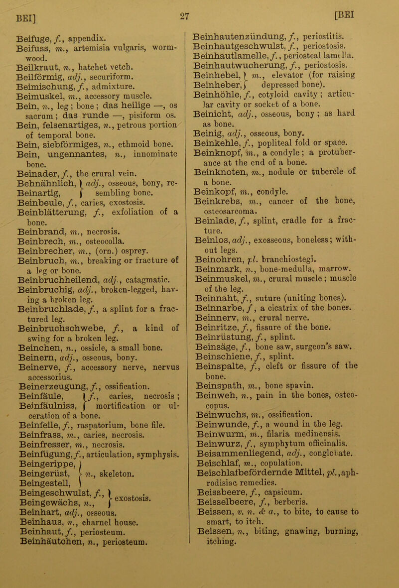 Beifuge,/., appendix. Beifuss, artemisia vulgaris, worm- wood. Beilkraut, n., hatchet vetch. Beilfdrmig, adj., securiform. Beimischung, /., admixture. Beimuskel, m., accessory muscle. Bern, n., leg; bone ; das lieilige —, os sacrum; das runde —, pisiform os. Bein, felsenartiges, w., petrous portion of temporal bone. Bein, siebfonniges, n., ethmoid bone. Bein, ungennantes, n., innominate bone. Beinader,the crural vein. Behnahnlicli, ^ adj., osseous, bony, re- Beinartig, | sembling bone. Beinbeule,/., caries, exostosis. Beinblatterung, /., exfoliation of a bone. Beinbrand, m., necrosis. Beinbrech, m., osteocolla. Beinbrecher, m., (orn.) osprey. Beinbnicb, m., breaking or fracture of a leg or bone. Beinbmcbheilend, adj., catagmatic. Beinbruchig, adj., broken-legged, hav- ing a broken leg. Beinbnichlade,/., a splint for a frac- tured leg. Beinbruchscbwebe, /., a kind of swing for a broken leg. Beinchen, n., ossicle, a small bone. Beinem, adj., osseous, bony. Beinerve, /., accessory nerve, nervus accessorius. Beinerzeugung,/., ossification. Beinfaule, Beinfaulniss /., caries, necrosis; mortification or ul- ceration of a bone. Beinfeile,/., raspatorium, bone file. Beinfrass, m., caries, necrosis. Beinfresser, m., necrosis. Beinfiigung,/., articulation, symphysis. Beingerippe, ) Beingeriist, t n., skeleton. Beingestell, ) Beingeschwulst, /., ) , . Bemgewachs, 71., Beinhart, adj., osseous. Beinbaus, 7?., charnel house. Beinhaut, f., periosteum. Beinbautclien, n., periosteum. Beinhautenziindimg,/., periostitis. Beinbautgeschwulst, /., periostosis. Beinhautlamelle,/., periosteal lamtlla. Beinbautwucberung, /., periostosis. Beinhebel, > Tn.., elevator (for raising Beinheber,) depressed bone). Beinhohle,/., cotyloid cavity; articu- lar cavity or socket of a bone. Beinicbt, adj., osseous, bony ; as hard as bone. Beiriig, adj., osseous, bony. Beinkeble, /., popliteal fold or space. Beinknopf, m., a condyle; a protuber- ance at the end of a bone. Beinknoten, m., nodule or tubercle of a bone. Beinkopf, m., condyle. Beinkrebs, m., cancer of the bone, osteosarcoma. Beinlade,/., splint, cradle for a frac- ture. Beinlos,ac?/., exosseous, boneless; with- out legs. Beinohren, fl. branchiostegi. Beinmark, n., bone-medulla, marrow. Beinnmskel, m., crural muscle ; muscle of the leg. Beinnaht, f., suture (uniting bones). Beinnarbe, /, a cicatrix of the bones. Beinnerv, m., crural nerve. Beinritze,/., fissure of the bone. Beinriistung,/., splint. Beinsage,/., bone saw, surgeon’s saw. Beinschiene,/., splint. Beinspalte, /., cleft or fissure of the bone. Beinspath, m., bone spavin. Beinweh, n., pain in the bones, osteo- copus. Beinwuchs, 771., ossification. Beinwtinde,/., a wound in the leg. Beinwurm, m., filaria medinensis. Beinwurz,symphytum officinalis. Beisammenliegend, adj., conglot^ate. Beischlaf, m., copulation. Beiscblafbefordemde Mittel, 2?^.,aph- rodisiac remedies. Beissbeere,/,, capsicum. Beisselbeere, /., berberis. Beissen, v. n. <k a., to bite, to cause to smart, to itch. Beissen, n., biting, gnawing, burning, itching.
