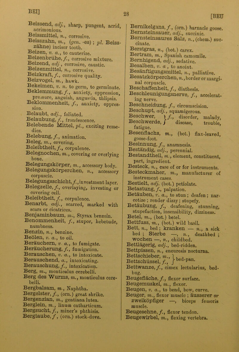 28 Beissencl, aclj., sharp, pungent, acrid, acrimonious. Bsissnuttel, n., corrosive. Beisszahn, m., {gen. -es) ; pi. Beiss- zahne) incisor tooth. Beizen, v. a., to cauterize. Beizenbriitie, y., corrosive mixture. Beizend, adj, corrosive, caustic. BeizeiuiiittGl, n., corrosive. Beizkraft,corrosive quality. Beizvogel, m., hawk. Bekeimen, v. n. to germ, to germinate. Beklemmung,anxiety, oppression, pressure, anguish, augusiia, thlipsis. Beklommenheit, anxiety, oppres- sion. Belaubt, adj., foliated. Belaubung, y, frondescence. Belebende Mittel, exciting reme- dies. Belebung,y, animation. Beleg, VI., covering, Beleibtbeit, y, corpulence. Belegnocben, m., covering or overlying bone. ° Belegungskorper, m., accessory body. Belegungskorpercben, n., accessory corpuscle. Belegungsschicbt, f., investment layer. Belegzello, f., overlaying, investing or covering cell. Beleibtbeit, y, corpulence. Benarbt, adj., scarred, marked with scars or cicatrices. Benjaminbaum, m., Styrax benzoin. Benommenbeit, f., stupor, hebetude, numbness. Benzin, n., benzine. Beolen, v. a., to oil. Beraucbem, v. a., to fumigate. Beraucbenmg,/, fumigation. Berauscben, v. a., to intoxicate. Berauscbend, a., intoxicating. Berauscbtmg,/, intoxication. Berg, m., raonticulus cerebelli. Berg des Wunns, m., monticulus cere- beJli. Bergbalsam, m., Naphtha. Bergelster,/, (orn.) great shrike. Bergenzian, m., gentiana lutea. Berglein, m., linum catharticum. Bergsucbt,y, miner’s phthisis. Bergtaube,y, (orn.) stuck-dove. [BEU Bemikelgana, y, (orn.) barnacle goose. Bernsteinsauer, adj., succinic. Bernsteinsaures Salz, ?t.,(chem.) suc- cinate. Berstgras, n., (bot.) carex. Bertram, m., Spanish camomile. Bembigend, adj., sedative. Besalben, v. a , to anoint. Besanftigungsmittel, n., palliative. Besatzkorpercben, n., border or margi- nal corpuscle. Bescbaffenbeit,y., diathesis. Bescbleunigungsnerve, accelerat- ing nerve. Bescbneidung, y, circumscision. Bescbupt, adj., squamigerous. Bescbwer, )/., disorder, malady, Bescbwerde, / disease, trouble, fatigue. Besenflacbs, m., (bot.) flax-leaved, goose-foot. Besinnung, y, anamnesis. Bestandig, adj., perennial. Bestandtbeil, rn., element, constituent, part, ingredient. Besteck, n., case of or for instruments. Besteckmaber, m., manufacturer of instrument cases. Bestielt, adj. (bot.) petiolate. Betastung, y, palpation. Betauben, v.. a., to stun; deafen; nar- cotize ; render dizzy; stupefy. Betaubung, f., deafening, stunning, stupefaction, insensibility, dizziness. Betel, m., (bot.) betel. Bettfuss, m., (bot.) wild basil. Bett, 01., bed; kranken — n., a. sick bed ; Sterbe —, n., deathbed ; wocben —, v., childbed. Bettlagerig, adj., bed-ridden. Bettpissen, n., eneuresis nocturna. Bettscbieber, ??z., I , , Bettscbussel, f., j Bettwanze, y, cimex lectularius, bed- bug. Beugeflacbe, y, flexor surface. Beugemuskel, on., flexor. Beugen, v. a., to bend, bow, curve. Beuger, on., flexor muscle ; ausserer or zweikopflger —, biceps femoris muscle. Beugesebne, y., flexor tendon. Beugewirbel, on., flexing vertebra.
