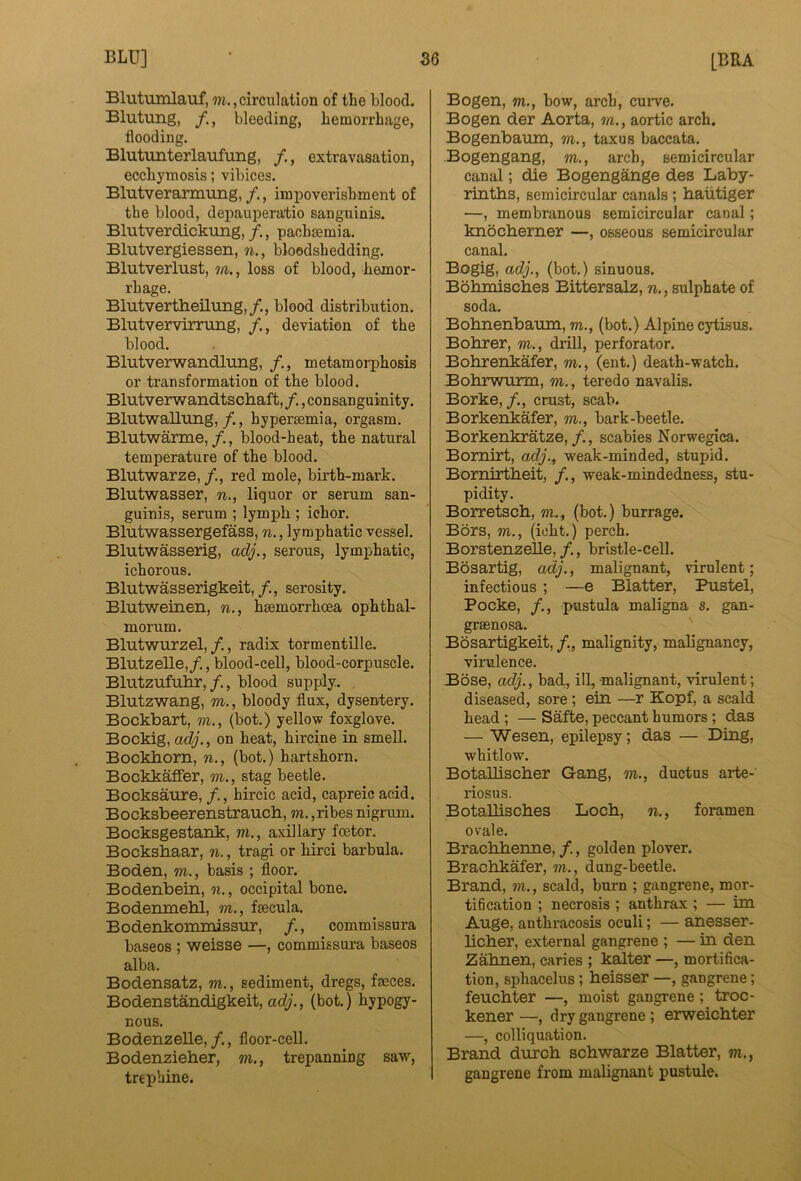 Blutumlauf, 7H.,circulation of the blood. Blutung, bleeding, hemorrhage, flooding. Blutunterlaufung, /., extravasation, ecchymosis; vibices. Blutverarmung,, impoverishment of the blood, depauperatio sanguinis. Blutverdickung,/., pacbmmia. Blutvergiessen, n., bloodshedding. Blutverlust, m., loss of blood, hemor- rhage. Blutvertheilung,/., blood distribution. Blutvervirrung, /., deviation of the blood. Blutverwandlung, /., metamorphosis or transformation of the blood. Blutverwandtscliaft, /., consanguinity. Blutwallung,/., hypermmia, orgasm. Blutwarme,/., blood-heat, the natural temperature of the blood. Blutwarze, /., red mole, birth-mark. Blutwasser, n., liquor or serum san- guinis, serum ; lymph ; ichor. Blutwassergefass, n., lymphatic vessel. Blutwasserig, adj., serous, lymphatic, ichorous. Blutwasserigkeit,/., serosity. Blutweinen, n., hsemorrhcea ophthal- morum. Blutwurzel,/., radix tormentille. Blutzelle,/., blood-cell, blood-corpuscle. Blutzufuhr,/., blood supply. Blutzwang, m., bloody flux, dysentery. Bockbart, m., (hot.) yellow foxglove. Bockig, adj., on heat, hircine in smell. Bockhorn, n., (bot.) hartshorn. Bockkaffer, m., stag beetle. Bocksaure, hircie acid, capreic acid. Bocksbeerenstraucb, tw. ,ribes nigrum. Bocksgestank, m., axillary foetor. Bocksbaar, n., tragi or hirci barbula. Boden, m., basis ; floor. Bodenbein, n., occipital bone. Bodeninehl, m., frncula. Bodenkommissur, /., commissura baseos ; weisse —, commissura baseos alba. Bodensatz, m., sediment, dregs, faeces. Bodenstandigkeit, adj., (bot.) hypogy- nous. Bodenzelle,/., floor-cell. Bodenzieher, m., trepanning saw, trephine. Bogen, m., bow, arch, cuiwe. Bogen der Aorta, m., aortic arch. Bogenbaum, m., tax us baccata. Bogengang, m., arch, semicircular canal; die Bogengange des Laby- rinths, semicircular canals; haiitiger —, membranous semicircular canal; knocherner —, osseous semicircular canal. Bogig, adj., (bot.) sinuous. Bohmisches Bittersalz, n., sulphate of soda. Bohnenbanm, m., (bot.) Alpine cytisus. Bohrer, m., drill, perforator. BohrenJkafer, m., (ent.) death-watch. Bohrwiirm, m., teredo navalis. Borke,/., crust, scab. Borkenkafer, m., bark-beetle. Borkenkratze,/., scabies Norwegica. Bornirt, adj., weak-minded, stupid. Bomirtheit, /., weak-mindedness, stu- pidity. Borretsch, m,, (bot.) burrage. Bors, m., (icht.) perch. Borstenzelle, /., bristle-cell. Bosartig, adj., malignant, virulent; infectious ; —e Blatter, Pustel, Pocke, /., pustula maligna s. gan- graenosa. Bosartigkeit, /., malignity, malignancy, virulence. Bose, adj., bad, ill, malignant, virulent; diseased, sore; ein —r Kopf, a scald head; — Safte, peccant humors; das — Wesen, epilepsy; das — Ding, whitlow. BotaUischer Gang, m., ductus arte- riosus. Botallisches Loch, n., foramen ovale. Brachhenne, /., golden plover. Brachkafer, m., dung-beetle. Brand, w., scald, burn ; gangrene, mor- ti6cation ; necrosis ; anthrax ; — im Auge, anthracosis oculi; — anesser- licher, external gangrene ; — in den Zahnen, caries ; kaiter —, mortifica- tion, sphacelus; heisser —, gangrene; feuchter —, moist gangrene; troc- kener —, dry gangrene; erweichter —, colliquation. Brand durch schwarze Blatter, m., gangrene from malignant pustule.