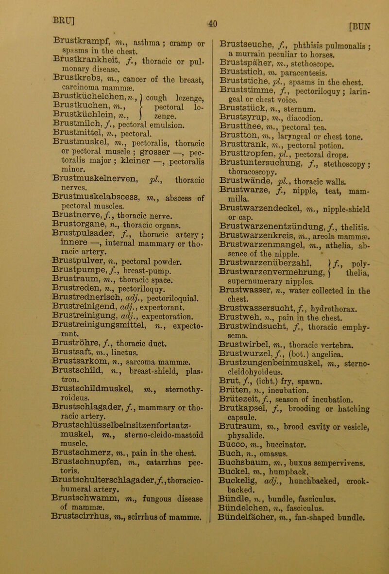 Brustkrampf, m,, asthma; cramp or spasms in the chest. Brustkrankheit, y., thoracic or pul- monary disease. Brustkrebs, m., cancer of the breast, carcinoma mammse. Brustkiiclaelchen,/?,., 1 cough lozenge, Brustkuchen, m., > pectoral lo- Brustkiiclilein, n., ) zenge. Brustmilch,, pectoral emulsion. Brustmittel, w., pectoral. Brustmuskel, m., pectoralis, thoracic or pectoral muscle ; grosser —, pec- toralis major ; kleiner —, pectoralis minor. Brustmuskelnerven, pi, thoracic nerves. Brustmuskelabscess, m., abscess of pectoral muscles. Brustnerve,/., thoracic nerve. Bmstorgane, n., thoracic organs. Brustpulsader, /., thoracic artery; mnere —, internal mammary or tho- racic artery. Bmstpulver, n., pectoral powder. Brustpumpe,/., breast-pump. Brustraum, m., thoracic space. Bmstreden, n., pectoriloquy. Brustrednerisch, adj., pectoriloquial. Brustreinigend, adj., expectorant. Brustremigung, adj., expectoration. Brustreinigungsmittel, n., expecto- rant. Brustrohre,/., thoracic duct. Brustsaft, m., linctus. Brustsarkom, n., sarcoma mammse. Brustscbild, n., breast-shield, plas- tron. Brustschildmuskel, m., stemothy- roideus. Brustschlagader, f., mammary or tho- racic artery. Brustscblusselbeinsitzenfortsatz- muskel, m., sterno-cleido-mastoid muscle. Bnistschmerz, m., pain in the chest. Brustscbimpfen, m., catarrhus pec- toris. Brustschulterschlagader,/., th oracico- humeral artery. Brustschwamm, m,, fungous disease of mamm®. Brustscirrhus, w., scirrhus of mamm®. [BUN Brustseuche, /., phthisis pulmonalis ; a murrain peculiar to horses. Brustspaher, m., stethoscope. Bniststich, m. paracentesis. Bruststiche, pi, spasms in the chest. Bruststmune, f., pectoriloquy; larin- geal or chest voice. Bruststiick, n., sternum. Brustsyrup, m., diacodion. Brustthee, m., pectoral tea. Brustton, m., laryngeal or chest tone. Brusttrank, m., pectoral potion. Brusttropfen, pi, pectoral drops. Bnistuntersucbuiig, /., stethoscopy; thoracoscopy. Brustwande, pi, thoracic walls. Brustwarze, /., nipple, teat, mam- milla. Brustwarzendeckel, m., nipple-shield or cap. Brustwarzenentziinduiig,/., thelitis. Brustwarzenkreis, m., areola mamm®. Brustwarzenmangel, m., athelia, ab- sence of the nipple. Brustwarzeniiberzahl, )/., poly- Bmstwarzenvermehrung, j thelia, supernumerary nipples. Brustwasser, n., water collected in the chest. Brustwassersucbt,/., hydrothorax. Brustweh, n., pain in the chest. Brustwindsucbt, f., thoracic emphy- sema. Brustwirbel, m., thoracic vertebra. Brustwurzel,/., (bot.) angelica. Brustzmigenbemmuskel, m., sterno- eleidohyoideus. Brut, /., (icht.) fry, spawn. Briiten, n., incubation. Briitezeit,/., season of incubation. Brutkapsel, /., brooding or hatching capsule. Brutraum, m., brood cavity or vesicle, physalide. Bucco, m., buccinator. Bucb, n., omasus. Bucbsbaum, m., buxus sempervivens. Buckel, m., humpback. Buckelig, adj., hunchbacked, crook- backed. Bundle, n., bundle, fasciculus. Biindelchen, n., fasciculus. Biindelfacher, to., fan-shaped bundle.