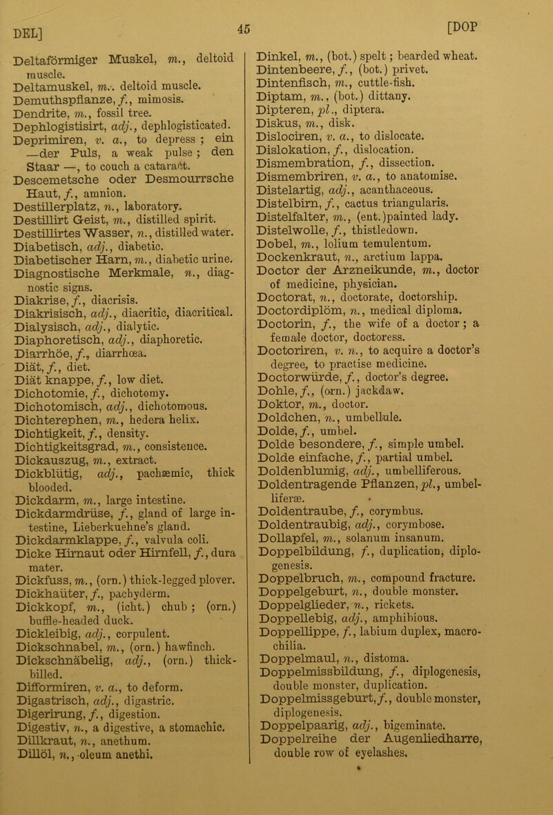 DEL] Deltaformiger Muskel, m., deltoid muscle. Deltamuskel, m.-. deltoid muscle. Demuthspflanze,/., mimesis. Dendrite, m., fossil tree. Dephlogistisirt, adj., dephlogisticated. Deprimiren, v. a., to depress ; ein —der Puls, a weak pulse; den Staar —, to couch a cataract. Descemetsclie Oder Desmourrsclie Haut, /., amnion. DestiUerplatz, n., laboratory. Destillirt Geist, m., distilled spirit. Destillirtes Wasser, distilled water. Diabetisch, adj., diabetic. Diabetiscber Ham, m., diabetic urine. Diagnostiscbe Merkmale, n., diag- nostic signs. Diakrise,/., diacrisis. Diakrisiscb, adj., diacritic, diacritical. Dialysisch, adj., dialytic. Diapboretisch, adj., diaphoretic. Diarrboe, diarrhoea. Diat,diet. Diat knappe, f., low diet. Dichotomie,/., dichotomy. Dicbotomisch, adj., dichotomous. Dicbterepben, m., hedera helix. Dicbtigkeit,density. Dicbtigkeitsgrad, m., consistence. Dickauszug, m., extract. Dickbliitig, adj., pachaemic, thick blooded. Dickdarm, m., large intestine. Dickdarmdriise, /., gland of large in- testine, Lieberkuehne’s gland. Dickdarmklappe,/., valvula coli. Dicke Himaut Oder Himfell, /., dura mater. Dickfuss, m., (orn.) thick-legged plover. Dickbaiiter, pachyderm. Dickkopf, m., (icht.) chub; (orn.) buffle-headed duck. Dickleibig, adj., corpulent. Dickscbnabel, m., (orn.) hawfinch. Dickscbnabelig, adj., (orn.) thick- billed. Difformiren, v. a., to deform. Digastriscb, adj., digastric. Digerirung,/., digestion. Digestiv, n., a digestive, a stomachic. Dillkraut, n., anethum. Dillol, n., oleum anethi. [DOP Dinkel, m., (bot.) spelt; bearded wheat. Dintenbeere, /., (bot.) privet. Dintenfiscb, m., cuttle-fish. Diptam, m., (bot.) dittany. Dipteren, ., diptera. Diskus, m., disk. Dislociren, v. a., to dislocate. Dislokation, /., dislocation. Dismembration, /., dissection. Dismembriren, v. a., to anatomise. Distelartig, adj., acanthaceous. Distelbirn, /., cactus triangularis. Distelfalter, m., (ent. )painted lady. DistelwoUe,/., thistledown. Dobel, m., lolium temulentum. Dockenkraut, n., arctium lappa. Doctor der Arzneikunde, m., doctor of medicine, physician. Doctorat, n., doctorate, doctorship. Doctordiplom, n., medical diploma. Doctorin, /., the wife of a doctor; a female doctor, doctoress. Doctoriren, v. n., to acquire a doctor’s degree, to practise medicine. Doctorwiirde, /., doctor’s degree. Doble,(O'rn.) jackdaw. Doktor, m., doctor. Doldcben, umbellnle. Dolde,/., umbel. Dolde besondere, f., simple umbel. Dolde einfacbe, /., partial umbel. Doldenblumig, adj., umbelliferous. Doldentragende Pfl.anzen,_p?., umbel- liferae. Doldentraube, /., corymbus. Doldentraubig, adj., corymbose. DoUapfel, m., solanum insanum. Doppelbildung, /., duplication, diplo- genesis. Doppelbrucb, m., compound fracture. Doppelgeburt, n., double monster. Doppelglieder, n., rickets. Doppellebig, adj., amphibious. DoppeUippe, /., labium duplex, macro- chilia. Doppelmaul, n., distoma. Doppelmissbildung, /., diplogenesis, double monster, duplication. Doppelmissgebnrt,/., double monster, diplogenesis. Doppelpaarig, adj., bigeminate. Doppelreibe der Augenbedbarre, double row of eyelashes.