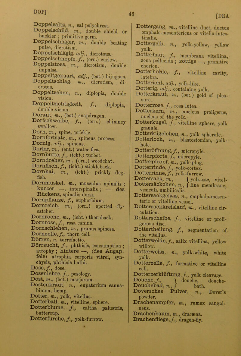 DOP] Doppelsaltz, sal polychrest. Doppelschild, m., double shield or buckler; primitive germ, Doppelsclilager, m., double beating pulse, dicrotism. Doppelschlagig, adj., dicrotous. Doppelschnepfe, y., (orn.) curlew. Doppelstosa, m., dicrotism, double impulse. Doppeltgepaart, adj., (bot.) bijugous. Doppeltschlag, m., dicrotism, di- crotus. Doppeltsehen, n., diplopia, double vision. Doppeltsichtigkeit, /, diplopia, double vision. Dorant, m., (bot.) snapdragon. Dorfschwalbe, (orn.) chimney swallow. Dorn, m., spine, prickle. Domfortsatz, m., spinous process. Domig, ad,j., spinous. Dorler, m., (ent.) water flea. Dombutte,/., (icht.) turbot. Dorndreher, m., (orn.) woodchat. Domflscb,/., (icht.) stickleback. Domhai, m., (icht.) prickly dog- fish. Dommuskel, m., musculus spinalis ; kurzer —, interspinalis; — des Riickens, spinalis dorsi. Dompflanze, /., euphorbium. Domreich, m., (orn.) spotted fly- catcher. Domroche, m., (icht.) thornback. Domrose, f., rosa canina. Domschlehen, m., prunus spinosa. DomzeUe, /., thorn cell. Dorren, n. torrefactio. Dorrsucht, /., phthisis, consumption ; atrophy ; bintere —, (des Augap- fels) atrophia corporis vitrei, syn- chysis, phthisis bulbi. Dose,/,, dose, Dosenlehre, /., posology. Dost, m., (bot.) marjoram. Dostenkraut, n., eupatorium canna- binum, hemp, Dotter, m., yolk, vitellus, Dotterball, m., vitelline, sphere. Dotterblume, /*., caltha palustris, buttercup. Dotterfurcbe,/,, yolk-furrow. [DRA Dottergang, m., vitelline duct, ductus omphalo-mesentericus or vitello-intes- tinalis. Dottergelb, yolk-yellow, yellow yolk. Dotterhaut, /, membrana vitellina, zona pellucida ; zottige —, primitive chorion, DotterboMe, /., vitelline cavity, latebra. Dottericbt, adj., yolk-like. Dotterig, adj., containing yolk. Dotterkraut, n., (boc.) gold of plea- sure. Dotterrose,/., rosa lutea. Dotterkem, ra., nucleus proligerus, nucleus of the yolk. Dotterkugel, /., vitelline sphere, yolk granule. Dotterkiigelcben, n., yolk spherule. Dotterlocb, n., blastostomion, yolk- hole. Dotteroffnung,/, micropyle. Dotterpforte, /., micropyle. Dotterpfropf, m., yolk-plug. Dotterrinde, /., yolk-cortex. Dotterrinne,/., yolk-furrow. Dottersack, m., ) yolk-sac, vitel- Dottersackcben, n., \ line membrane, vesicula umbiHcalis. Dottersackgefass, n., omphalo-mesen- teric or vitelline vessel. Dottersackkreislauf, m., vitelline cir- culation, Dotterscbeibe, /., vitelline or proli- gerous disc. Dottertbeilimg, /, segmentation of. the vitellus. Dotterweide,/., salix vitellina, yellow willow. Dotterweiss, n., yolk-white, white yolk. Dotterzelle, /., formative or vitelline cell. Dotterzerkliiftung,/., yolk cleavage. Doucbe,/., douche, douche- Doucbebad, n., f bath, Doverscbes Pulver, n., Dover’s powder. Dracbenampfer, m., rumex sangui- neus. Dracbenbaum, m., dracsena. Dracbenfliege,/., dragon-fly.