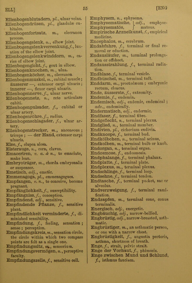EUenbogenblutadem, pi., ulnar veins. EUenbogendriisen, pi., glanclulse cu- bitales, EUenbogenfortsatz, m., olecranon process. EUenbogengelenk, n., elbow joint. EUenbogengelenkverrenkung,/., lux- ation of the elbow joint. EUenbogengelenkwinddorn, m., ca- ries of elbow joint. EUenbogengicbt,/., gout in elbow. EUenbogenknochen, m., ulna. EUenbogenkocher, m., olecranon. EUenbogenmuskel, m., cubital muscle; atisserer —, extensor carpi ulnaris ; innerer —, flexor carpi ulnaris. EUenbogennerve,/., ulnar nerve. EUenbogennetz, n., rete articulare cubiti. EUenbogenpulsader, /., cubital or ulnar artery. EUenbogenrobre,/,, radius. Ellenbogensclilagader, /., ulnar ar- tery. EUenbogenstrecker, m., anconeous ; triceps ; — der Hand, extensor carpi ulnaris. Else,/., clupea alosa. Elsterauge, n., com, clavus. Emaceriren, v. a.^ cfc n., to emaciate, make lean. Embryotrager, w.,, chorda embryonalis or suspsnsor. Emetiscb, adj., emetic. Eimnenagoga, emmenagogues. Empfangen, v. n., to conceive, become pregnant. Empfanglicbkeit, /., susceptibility. Empfangniss, /., conception. Empfindend, adj., sensitive. Empfindende Pflanze, /., sensitive plant. Empfindlicbkeit verminderte, /., di- minished sensibility. Empfindung, /., feeling, sensation ; sense ; perception. Empfindungskreis, m., sensation circle, the circle within which two compass points are felt as a single one. Empflndimgssitz, m., sensorium. Empfindiuigsvermogen, n., perceptive faculty. Empfindungszelle, /., sensitive cell. Emphysem, n., ephysema. Emphysematiscbe, \adj., emphyse- Emphysematos, J matous. Empiriscbe Arzneikunst, f., empirical medicine. Encephalos, m., cerebrum. Endabfuhre, /., terminal or final re- moval or eduction. Endauslaufer, m., terminal prolonga- tion or offshoot. Endausstrahlnng, /., terminal radia- tion. Endblase,/., terminal vesicle. Endbiiscbel, m., terminal tuft. Enddarm, m., proctodaeum ; embryonic rectum, cloacus. Ende, ausserste,/., extremity. Endemie,/., endemia. Endemiscb, adj., endemic, endemical ; adv., endemically. Endermatiscb, adj., endermic. Endfaser, /., terminal fibre. Endgeflecht, n., terminal plexus. Endglied, n., terminal member. Endivien, pi., cichorium endivia. Endknospe, f., terminal bud. Endkblbchen, n., terminal acinus. Endkolben, m., terminal bulb or knob. Endorgan, n., terminal organ. Endosmose,, endosmosis. Endphalange, /., terminal phalanx. Endplatte,/., terminal plate. Endplexus, m., terminal plexus. Endscblinge,/., terminal loop. Endsebne,/., terminal tendon. Endtascbe, /., terminal pocket, sac or alveolus. . Endverzweigung, /., terminal rami-: fication. Endzapfen, m., terminal cone, conus terminalis. Energisch, adj., energetic. Engbauchig, adj., narrow-bellied. Engbriistig,ac^'., narrow-breasted, asth- matic. Engbriistiger, m., an asthmatic person, or one with a narrow chest. Engbriistigkeit, /., angustia pectoris, asthma, shortness of breath. Enge,/., strait, pelvic strait. Enge der Vorhaut,/., phimosis. Enge zwiscben Mund und Schlund, /., isthmus faucium.