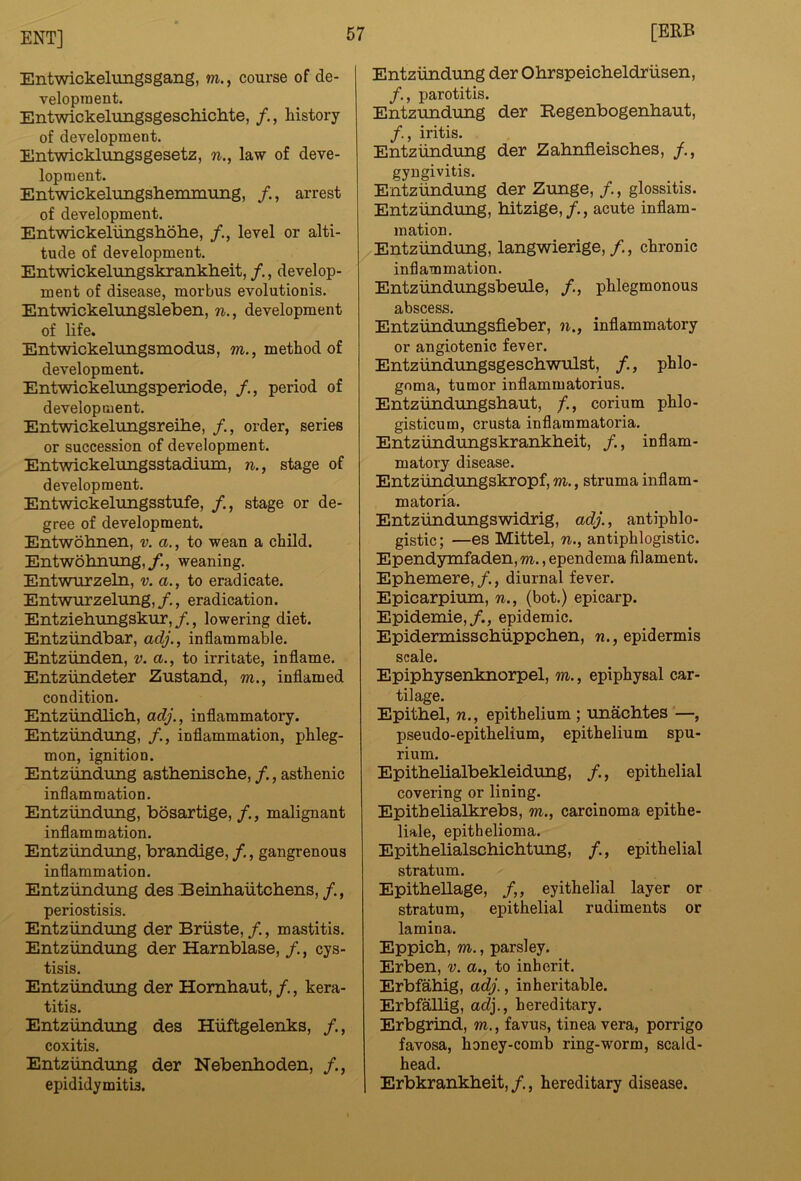 Entwickelungsgang, m., course of de- velopraent. Entwickelungsgescliichte, /., history of development. Entwicklungsgesetz, n., law of deve- lopment. Entwickeliingshemmiing, /., arrest of development. Entwickeliingsliolie, /., level or alti- tude of development. Entwickelungskranklieit, /., develop- ment of disease, morbus evolutionis. Entwickelungsleben, n., development of life. Entwickelungsmodus, m., method of development. Entwickelungsperiode, period of development. Entwickelimgsreihe, order, series or succession of development. Entwickelungsstadium, n., stage of development. Entwickelungsstufe, /., stage or de- gree of development. Entwohnen, v. a., to wean a child. Entwohnung,/., weaning. Entwrirzeln, v. a., to eradicate. Entwrirz elung, /., eradication. Entziehungskur,/., lowering diet. Entziindbar, adj., inflammable. Entziinden, v. a., to irritate, inflame. Entziindeter Zustand, m., inflamed condition. Entziindlicb, adj., inflammatory. Entziindung, /., inflammation, phleg- mon, ignition. Entziindung astheniscbe, /., asthenic inflammation. Entziindung, bosartige, /., malignant inflammation. Entziindung, brandige, /., gangrenous inflammation. Entziindung des Eeinhaiitchens, periostisis. Entziindung der Briiste,/., mastitis. Entziindung der Harnblase, /., cys- tisis. Entziindung der Hombaut, /., kera- titis. Entziindung des Hiiftgelenks, /., coxitis. Entziindung der Nebenhoden, epididymitis. Entziindung der Ohrspeicheldriisen, /., parotitis. Entzundung der Regenbogenbaut, /., iritis. Entziindung der Zabnfleiscbes, /., gyngivitis. Entziindung der Zunge, /., glossitis. Entziindung, bitzige,/., acute inflam- mation. Entziindung, langwierige,/., chronic inflammation. Entziindungsbeule, /., phlegmonous abscess. Entziindungsfieber, n., inflammatory or angiotenic fever. Entziindungsgescbwulst, /., phlo- goma, tumor inflammatorius. Entziindungsbaut, /., corium phlo- gisticum, crusta inflammatoria. Entziindungskrankbeit, /., inflam- matory disease. Entziindungskropf, m., struma inflam- matoria. Entziindungswidrig, adj., antiphlo- gistic ; —es Mittel, n., antiphlogistic. Ependymfaden, m., ependema filament. Epbemere, /., diurnal fever. Epicarpium, n., (bot.) epicarp. Epidemie,/., epidemic. Epidermisscbiippcben, w., epidermis scale. Epipbysenknorpel, m., epiphysal car- tilage. Epitbel, n., epithelium ; unacbtes —, pseudo-epithelium, epithelium spu- rium. Epitbelialbekleidung, /., epithelial covering or lining. Epitbelialkrebs, m., carcinoma epithe- liale, epithelioma. Epitbelialscbicbtung, /., epithelial stratum. Epitbellage, eyithelial layer or stratum, epithelial rudiments or lamina. Eppicb, w., parsley. Erben, v. a., to inherit. Erbfabig, adj., inheritable. ErbfaUig, adj., hereditary. Erbgrind, m., favus, tinea vera, porrigo favosa, honey-comb ring-worm, scald- head. Erbkrankbeit,/., hereditary disease.