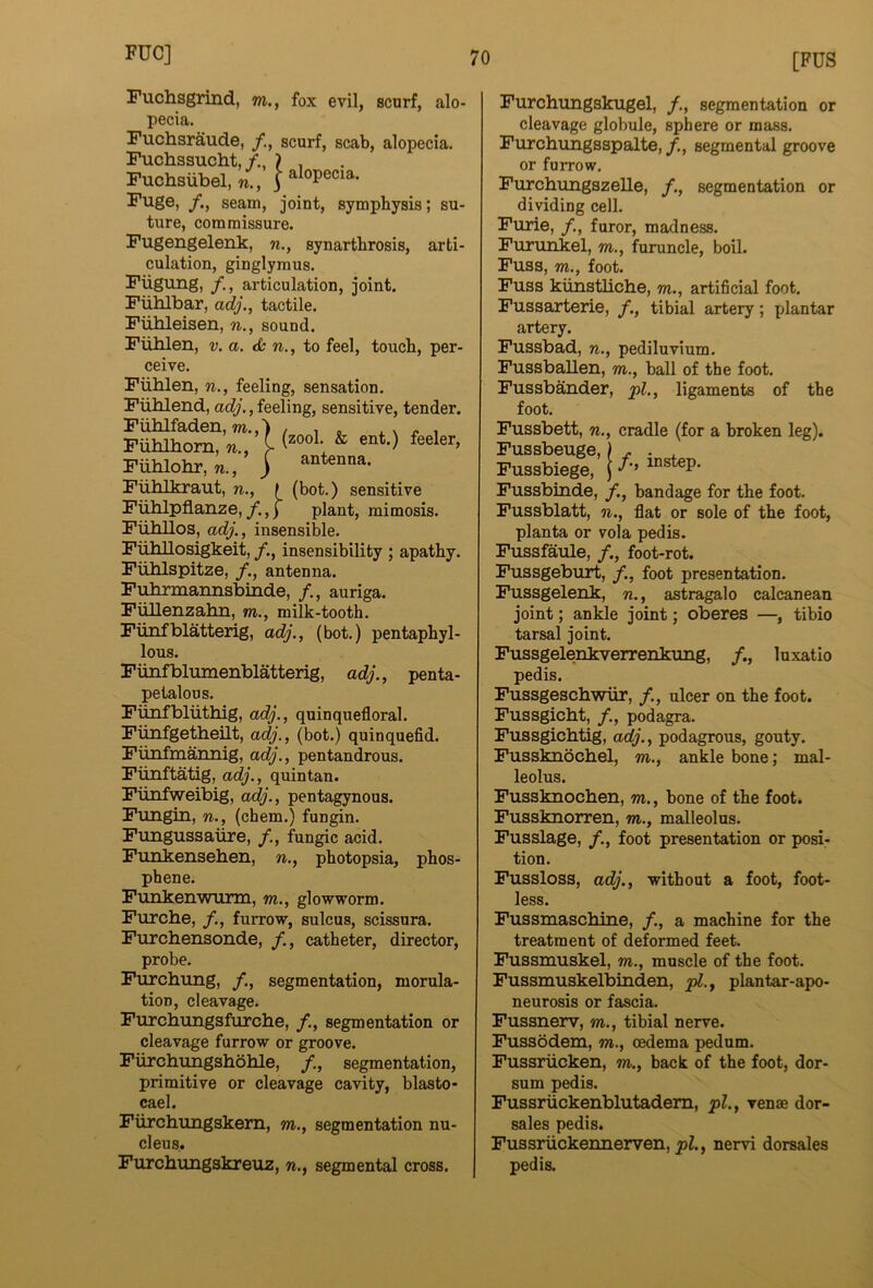 Fuchsgrind, m., fox evil, scurf, alo- pecia. Fuchsraude, scurf, scab, alopecia. Fuchssucht,, Fuchsiibel.n., | seam, joint, symphysis; su- ture, commissure. Fugengelenk, n., synarthrosis, arti- culation, ginglymus. Fiigung, articulation, joint, Fiihlbar, adj., tactile. Fiihleisen, n., sound. Fiiblen, v. a. <Sc n., to feel, touch, per- ceive. Fiiblen, n., feeling, sensation, Fiiblend, adj., feeling, sensitive, tender. Fiililfaden, m.,') , , , i. \ ^ i Fublhom, 71., ^ Fiihlohr, 71., ) Fiihlkraut, n., ( (bot.) sensitive Fiihlpflanze,/.,) plant, mimosis. Fubllos, adj., insensible. FuMlosigkeit, insensibility ; apathy. Fiiblspitze, /., antenna. Fulmnannsbinde, /,, auriga. Fiillenzahn, m., milk-tooth. Fiinfblatterig, adj., (bot.) pentaphyl- lous. Fiinfblumenblatterig, adj., penta- petalous. Fiinfbliithig, adj., quinquefloral. Fiinfgetheilt, adj., (bot.) quinquefid. Fimfmannig, adj., pentandrous. Fiinftatig, adj., quintan. Fiinfweibig, adj., pentagynous. Fungin, n., (chem.) fungin. Fungussaiire, /., fungic acid, Funkensehen, n., photopsia, phos- phene. Fiinkenwiirm, m., glowworm. Furche, /., furrow, sulcus, scissura. Furchensonde, /., catheter, director, probe. Furchung, /., segmentation, morula- tioD, cleavage. Furchimgsfurche, /., segmentation or cleavage furrow or groove. Fiirchungshohle, /., segmentation, primitive or cleavage cavity, blaato- cael. Furchungskern, m., segmentation nu- cleus. Furchungskreuz, 71., segmental cross. 70 [FUS Furchungskugel, /., segmentation or cleavage globule, sphere or mass. Furchungsspalte, /,, segmental groove or furrow. FTirchungszelle, /., segmentation or dividing cell. Fiirie, /., furor, madness. Furunkel, m., furuncle, boil. Fuss, m., foot. Fuss kiinstliche, m., artificial foot. Fussarterie, /., tibial artery; plantar artery. Fussbad, n., pediluvium, Fussballen, m., ball of the foot. Fussb&ider, pi., ligaments of the foot. Fussbett, n., cradle (for a broken leg). Fussbeuge,) ^ ^ Pu33biege, S Fussbinde, /., bandage for the foot. Fussblatt, n., flat or sole of the foot, planta or vola pedis. Fussfaule, /., foot-rot. Fussgebuil, /., foot presentation, Fussgelenk, n., astragalo calcanean joint; ankle joint; oberes —, tibio tarsal joint. Fussgelenkverrenkung, /., luxatio pedis. Fussgescbwiir, /., ulcer on the foot. Fussgicht, /., podagra. Fussgichtig, adj., podagrous, gouty. Fussknochel, m., ankle bone; mal- leolus. Fussknochen, m., bone of the foot. Fussknorren, m., malleolus. Fusslage, foot presentation or posi- tion. Fussloss, adj., without a foot, foot- less. Fussmaschine, /., a machine for the treatment of deformed feet. Fussmuskel, m., muscle of the foot. Fussmuskelbinden, pl.y plantar-apo- neurosis or fascia. Fussnerv, m., tibial nerve. Fussodem, m., oedema pedum, Fussriicken, m., back of the foot, dor- sum pedis. Fussriickenblutadem, pi., venae dor- sales pedis. Fussriickennerven, pi., nervi dorsales pedis.