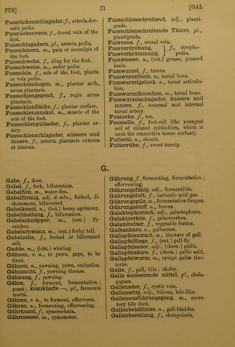 Fussriickenschlagader,/., arteria dor- salis pedis. Fussriickenvene, /,, dorsal vein of tne foot. Fussschlagadem, pi., arteria pedis. Fusssclunerz, m., pain or neuralgia of the foot. Fussschwebe, /., sling for tlie foot. Fussscbweiss, m., sudor pedis. Fusssoble, /., sole of the foot, planta or vola pedis. Fusssohlenbogen, m., plantar arch,, arcus plantaris. Fusssoblengegend, regio arcus plantaris. Fusssoblenflacbe,/., plantar surface*. Fusssohlenmuskel, m., muscle of the sole of the foot. Fusssohlenpulsader, /., plantar ar- tery. Fusssoblenscblagader, aiissere und innere, arteria. plantaris externa et interna. [GAL Fusssohlenschreitend, adj., planti- grade. Fusssoblenscbreitende Thiere, pi., plantigrada. Fussvene, /., crural vein. Fussverdrebung, 1 /., strepLo- FUssverkriimmung, J podia. Fusswasser, n., (vet.) grease, greased ! heels. ' Fusswurzel, /., tarsus. Fusswurzelbein, n., tarsal bone. ^ Fusswurzelgelenk, n., tarsal articula- tion. Fusswurzelknocben, m., tarsal bone. Fusswurzelscbagader, aussere und innere, /., external and internal tarsal artery. Fusszehe, /,, toe. Fusszelle, /., foot-cell (the youngest cell of ciliated epithelium, which is next the connective tissue surface). Futteral, n., sheath. Futterriibe, /., sweet turnip. G. Gabe, /,, dose. Gabel, /., fork, bifurcation. Gabelflob, m., water-flea.. Gabelformig, adj. & adv., forked,, di- chotomous, bifurcated. Gabelkraut, n., (bot.) hemp agrimony. Gabeltbeilung, /., bifurcation. Gabelscbnapper, m., (orn.) fly- catcher. Gabelschwanz, m., (ent.) forky tail. Gabelzelle, /., forked or bifurcated cell. Gadde, m., (icht.) whiting. Gahnen, v. n., to yawn, gape, to be tired. Gahnen, n., yawning, yawn, oscitation. Gahnsucht, /., yawning disease. Gahnung, /, yawning. Gahre, /., ferment, fermentation ; yeast; krankhafte —, pi., fermenta morbi. Gahren, v. n., to ferment, effervesce. Gahren, n., fermenting, effervescing. Gahrkunst, /., zymotechnia. Gahrmesser, m., zymometer. Gahrung, /., fermenting, fermentation ; effervescing. Gahrungsfahig, adj., fermentible. Gahrungsluft, /., carbonic acid gas. Gahrungspilz, m., fermentation fungus. Gahrungsstoff, n., leaven. Galaktophorisch, adj., galactophoric. Galaktorrhoe, /., galactorrhea. Galambutter, /., vegetable butter. Galbanharz, n., galbanum. Gallapfelextract, m., tincture of gall. GaUapfelfliege, /., (ent.) gall-fly. _ Gallapfelsauer, adj., (chem.) gallic. Gallapfelsaure, /., (chera.) gallic acid. Gallapfelwurm, m., cynips gallae tinc- ' torise. ' GaUe, /., gall, bile; choler. Galle ausleerende mittel, pi, chola- gogues. Gallenader, /., cystic vein. Gallenartig, adj., bilious, bile-like. GaUenausfiihrungsgang, m., excre- tory bUe duct. Gallenbehaltniss, n, gall-bladder. Gallenbereitung, /., cholepoiesis.