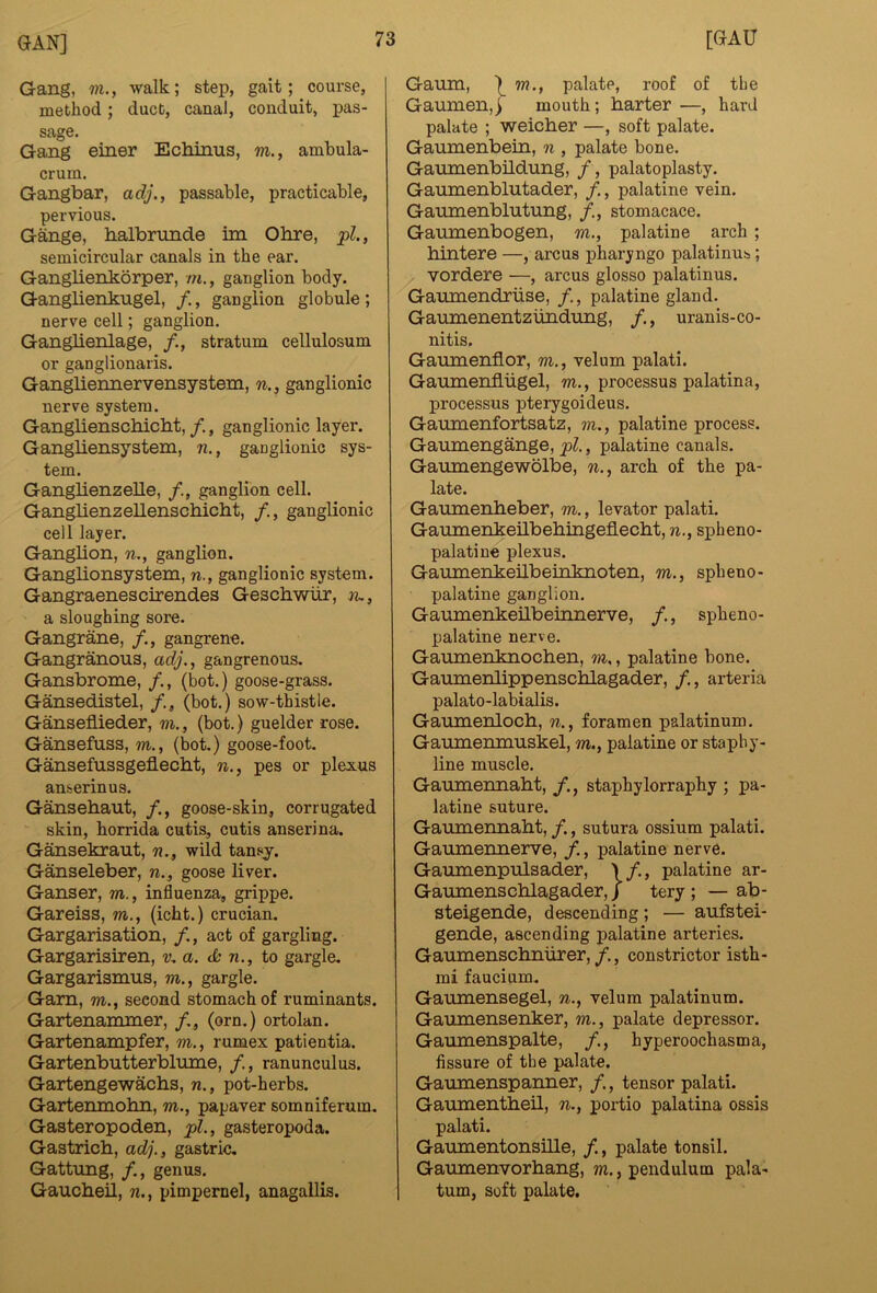 Gang, m., walk; step, gait; course, method; duct, canal, conduit, pas- sage. Gang einer Echinus, m., ambula- crum. Gangbar, adj., passable, practicable, pervious. Gange, halbrunde im Ohre, pi., semicircular canals in the ear. Ganglienkorper, m., ganglion body. Gangliehkugel, /., ganglion globule; nerve cell; ganglion. Ganglienlage, /., stratum cellulosum or ganglionaris. Gangliennervensystem, n., ganglionic nerve system. Ganglienschicht, /., ganglionic layer. Gangliensystem, n., ganglionic sys- tem. Ganglienzelle, ganglion cell. Ganglienzellenschicht, /., ganglionic cell layer. Ganglion, n., ganglion. Ganglionsystem, n., ganglionic system. Gangraenescirendes Geschwiir, n., a sloughing sore. Gangrane, /., gangrene. Gangr^ous, adj., gangrenous. Gansbrome, /., (bot.) goose-grass. Gansedistel, /., (bot.) sow-thistle. Ganseflieder, m., (bot.) guelder rose. Gansefuss, m., (bot.) goose-foot. Gansefussgeflecht, n., pes or plexus anserinus. Gansehaut, goose-skin, corrugated skin, horrida cutis, cutis anserina. Gansekraut, n., wild tansy. Ganseleber, n., goose liver. Ganser, m., influenza, grippe. Gareiss, m., (icht.) crucian. Gargarisation, act of gargling. Gargarisiren, v, a. <k n., to gargle. Gargarismus, m., gargle. Gam, m., second stomach of ruminants. Gartenammer, /., (orn.) ortolan. Gartenampfer, m., rumex patientia. Gartenbutterblume, /., ranunculus. Gartengewachs, n., pot-herbs. Gartenmohn, m., papaver somniferum. Gasteropoden, pi., gasteropoda. Gastrich, adj., gastric, Gattung, /., genus. Gaucheil, n., pimpernel, anagallis. Gaum, \ w., palate, roof of the Gaumen,] mouth; barter —, hard palate ; weicher —, soft palate. Gaumenbein, n , palate bone. Gaumenbildung, /, palatoplasty. Gaumenblutader, /., palatine vein. Gaumenblutung, stomacace. Gaumenbogen, w., palatine arch ; hintere —, arcus pharyngo palatinus; vordere —, arcus glosso palatinus. Gaumendriise, /., palatine gland. Gaumenentzundung, /., uranis-co- nitis. Gaumenflor, m., velum palati. Gaumenflugel, m., processus palatina, processus pterygoideus. Gaumenfortsatz, m., palatine process. Gaumengange, pi., palatine canals. Gaumengewolbe, n., arch of the pa- late. Gaumenheber, m., levator palati. Gaumenkebbehingeflecht, n., spheno- palatine plexus. Gaumenkeilbeinknoten, m., spheno- palatine ganglion. Gaumenkeilbeinnerve, /., spheno- palatine nerve. Gaumenknochen, m., palatine bone. Gaumenlippenschlagader, /., arteria palato-labialis. Gaumenloch, n., foramen palatinum. Gaumenmuskel, m., palatine or staphy- line muscle. Gaumennaht, f., staphylorraphy ; pa- latine suture. Gaumennaht, /., sutura ossium palati. Gaumennerve, /., palatine nerve. Gaumenpulsader, )/., palatine ar- Gaumenschlagader, / tery ; —ab- steigende, descending; — aufstei- gende, ascending palatine arteries. Gaumenschniirer, f., constrictor isth- mi faucium. Gaumensegel, n., velum palatinum. Gaumensenker, m., palate depressor. Gaumenspalte, hyperoochasma, fissure of the palate. Gaumenspanner, /., tensor palati. Gaumentheil, n., portio palatina ossis palati. Gaumentonsille, f., palate tonsil. Gaumenvorhang, m., pendulum pala- tum, soft palate.