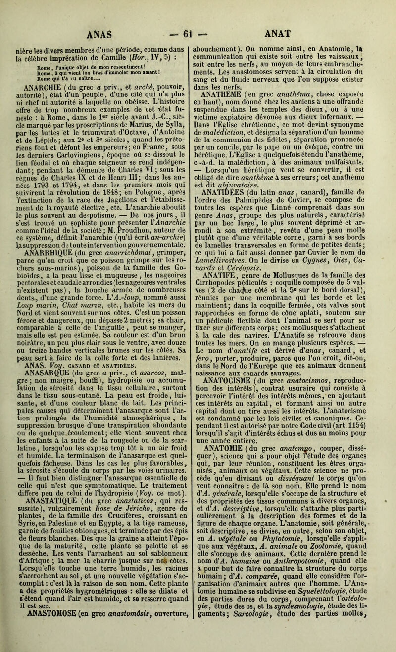 nière les divers membres d’une période, comme dans la célèbre imprécation de Camille {Hor., IV, 5) : Rome, l'unique objet de mon ressentiment! Rome, h qui vient ton bras d'immoler mon amant I Rome qui t’a nu naître.... ANARCHIE (du grec a priv., et archè, pouvoir, autorité), état d’un peuple, d’une cité qui n’a plus ni chef ni autorité à laquelle on obéisse. L’histoire offre de trop nombreux exemples de cet état fu- neste ; à Rome, dans le l®' siècle avant J.-C., siè- cle marqué par les proscriptions de Marins, de Sylla, par les luttes et le triumvirat d’Octave, d’Antoine et de Lépide ; aux 2® et 3® siècles, quand les préto- riens font et défont les empereurs; en France, sous les derniers Carlovingiens, époque où se dissout le lien féodal et où chaque seigneur se rend indépen- dant; pendant la démence de Charles VI; sous les règnes de Charles IX et de Henri III; dans les an- nées 1793 et 1794, et dans les premiers mois qui suivirent la révolution de 1848; en Pologne, après l’extinction de la race des Jagellons et l’établisse- ment de la royauté élective, etc. L’anarchie aboutit le plus souvent au despotisme. — De nos jours, il s’est trouvé un sophiste pour présenter Y Anarchie comme l’idéal de la société; M. Proudhon, auteur de ce système, définit l’anarchie (qu’il écrit an-archie) lasuppression de toute intervention gouvernementale. ANARRHIQUE (du grec anarrichômai, grimper, parce qu’on ci’oit que ce poisson grimpe sur les ro- chers sous-marins), poisson de la famille des Go- bioides , a la peau lisse et muqueuse, les nageoires pectorales etcaudalearrondies(les nageoires ventrales n’existent pas), la bouche armée de nombreuses dents,, d’une grande force. L'A.-loup, nommé aussi Loup marin, Chat marin, etc., habite les mers du Nord et vient souvent sur nos côtes. C’est un poisson féroce et dangereux, qui dépasse2 mètres; sa chair, comparable à celle de l’anguille , peut se manger, mais elle est peu estimée. Sa couleur est d’un brun noirâtre, un peu plus clair sous le ventre, avec douze ou treize bandes verticales brunes sur les côtés. Sa peau sert à faire de la colle forte et des lanières. ANAS. Voy. canard et anatidées. ANASARQUE (du grec a priv., et asarcos, mai- gre; non maigre, bouffi), hydropisie ou accumu- lation de sérosité dans le tissu cellulaire, surtout dans le tissu sous-cutané. La peau est froide, lui- sante, et d’une couleur blanc de lait. Les princi- pales causes qui déterminent l’anasarque sont l’ac- tion prolongée de l’humidité atmosphérique, la suppression brusque d’une transpiration abondante ou de quelque écoulement; elle vient souvent chez les enfants à la suite de la rougeole ou de la scar- latine, lorsqu’on les expose trop tôt à un air froid et humide. La terminaison de l’anasarque est quel- quefois fâcheuse. Dans les cas les plus favorables, la sérosité s’écoule du corps par les voies urinaires. — U faut bien distinguer l’anasarque essentielle de celle qui n’est que symptomatique. Le traitement diffère peu de celui de l’hydropisie {Voy. ce mot). ANASTAÏIQUE (du grec anastaticos, qui res- suscite), vulgairement Rose de Jéricho, genre de lantes, de la famille des Crucifères, croissant en yrie,en Palestine et en Egypte, a la tige rameuse, garnie de feuilles oblongues,et terminée par des épis de fleurs blanches. Dès que la graine a atteint l’épo- que de la maturité, cette plante se pelotte et se dessèche. Les vents l’arrachent au sol sablonneux d’Afrique ; la mer la charrie jusque sur nofe côtes. Lorsqu’elle touche une terre humide, les racines s’accrochent au sol, et une nouvelle végétation s’ac- complit ; c’est là la raison de son nom. Cette plante a des propriétés hygrométriques : elle se dilate et s'étend quand l’air est humide, et se resserre quand il est sec. ANASTOMOSE (en grec anastomôsis, ouverture, abouchement). On nomme ainsi, en Anatomie, la communication qui existe soit entre les vaisseaux, soit entre les nerfs, au moyen de leurs embranche- ments. Les anastomoses servent à la circulation du sang et du fluide nerveux que l’on suppose exister dans les nerfs. ANATHÈME (en grec anathéma, chose exposée en haut), nom donné chez les anciens à une offrande suspendue dans les temples des dieux, ou à une victime expiatoire dévouée aux dieux infernaux. — Dans l’Eglise chrétienne, ce mot devint synonyme de malédiction, et désigna la séparation d’un hommo de la communion des üdcles, séparation prononcée par un concile, par le pape ou un évéque, contre un hérétique. L’Eglise a quelquefois étendu l’anathème, C-à-d. la malédiction, à des animaux malfaisants. — Lorsqu’un hérétique veut se convertir, il est obligé de dire anathème à ses erreurs; cet anathème est dit abjiiratoire. ANATIDÈES (du latin anas, canard), famille de l’ordre des Palmipèdes de Cuvier, se compose de toutes les espèces que Linné comprenait dans son genre Anas, groupe des plus naturels, caractérisé par un bec large, le plus souvent déprimé et ar- rondi à son extrémité, revêtu d’une peau molle plutôt que d’une véritable corne, garni à ses bords de lamelles transversailes en forme de petites dents ; ce qui lui a fait aussi donner par Cuvier le nom de Lamellirostres. On le divise en Cygnes, Oies, Ca- nards et Céréopsis. ANATIFE, genre de Mollusques de la famille des Cirrhopodes pédiculés : coquille composée de 5 val- ves (2 de chaiiDe côté et la 5® sur le bord dorsal), réunies par une membrane qui les borde et les maintient; dans la coquille fermée, ces valves sont rapprochées en forme de cône aplati, soutenu sur un pédicule flexible dont l’animal se sert pour se fixer sur différents corps; ces mollusques s’attachent à la cale des navires. L’Anatife se retrouve dans toutes les mers. On en mange plusieurs espèces. — Le nom A'anatife est dérivé d’anos, canard, et fero, porter, produire, parce que l’on croit, dit-on, dans le Nord de l’Europe que ces animaux donnent naissance aux canardf. sauvages. ANATOCISME (du grec anatocismos, reproduc- tion des intérêts), contrat usuraire qui consiste à percevoir l’intérêt des intérêts mêmes, en ajoutant ces intérêts au capital, et formant ainsi un autre capital dont on tire aussi les intérêts. L’anatocisme est condamné par les lois civiles et canoniques. Ce- pendant il est autorisé par notre Code civil (art. 1154) lorsqu’il s’agit d’intérêts échus et dus au moins pour une année entière. ANATOMIE ( du grec anatemno, couper, dissé- quer), science qui a pour objet rétude des organes qui, par leur réunion, constituent les êtres orga- nisés , animaux ou végétaux. Cette science ne pro- cède qu’en divisant ou disséquant le corps qu’on veut connaître : de là son nom. Elle prend le nom d’j4. générale, lorsqu’elle s’occupe de la structure et des propriétés des tissus communs à divers organes, et d’.4. descriptive, lorsqu’elle s’attache plus parti- culièrement à la description des formes et de la figure de chaque organe. L’anatomie, soit générale, soit descriptive, se divise, en outre, selon son objet, en A. végétale ou Phytotomie, lorsqu’eUe s’appli- que aux végétaux, A. animale ou Zootomie, quand elle s’occupe des animaux. Cette dernière prend le nom d'A. humaine ou Anthropotomie, quand elle a pour but de faire connaître la structure du corps humain; d'A. comparée, quand elle considère l’or- ■ ganisation d’animaux autres que l’homme. L’Ana- tomie humaine se subdivise en Squelettologie, étude des parties dures du corps, comprenant Vostéolo- gie, étude des os, et \a. synaesmotogie, étude des li- gaments; Sarcologie, étude des poities moUes,