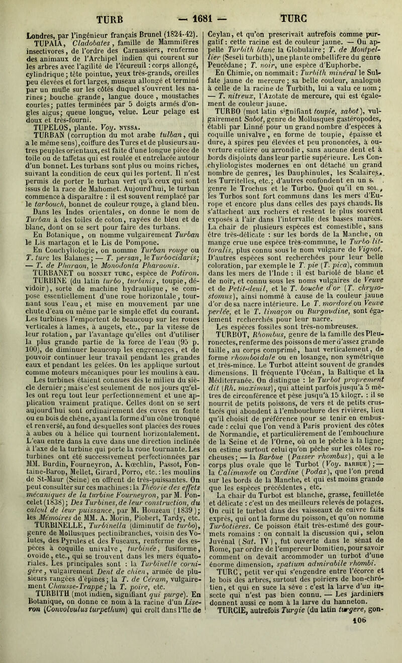 Londres, par l’ingénieur français Brunei (1824-42). TUPAIA, Cladobates, îBmWle, de Mammifères insectivores, de l’ordre des Carnassiers, renferme des animaux de l'Archipel indien qui courent sur les arbres avec l’agilité de l’écureuil : corps allongé, cylindrique; tête pointue, yeux très-grands, oreilles peu élevées et fort larges, museau allongé et terminé par un mufle sur les côtés duquel s’ouvrent les na- rines ; bouche grande, langue douce, moustaches courtes; pattes terminées par 5 doigts armés d’on- gles aigus; queue longue, velue. Leur pelage est doux et très-fourni. TUPELOS, plante. Voy. nvssa. TURBAN (corruption du mot arabe iulban, qui a le même sens), coifl'ure des Turcs et de plusieurs au- tres peuples orientaux, est faite d’une longue pièce de toile ou de tafletas qui est roulée et entrelacée autour d’un bonnet. Les turbans sont plus ou moins riches, suivant la condition de ceux qui les portent. 11 n’est permis de porter le turban vert qu’à ceux qui sont issus de la race de Mahomet. Aujourd’hui, le turban commence à disparaître ; il est souvent remplacé par le tarbouch, bonnet de couleur rouge, à gland bleu. Dans les Indes orientales, on donne le nom de Turban à des toiles de coton, rayées de bleu et de blanc, dont on se sert pour faire des turbans. En Botanique, on nomme vulgairement Twrôaw le Lis martagon et le Lis de Pompone. En Conchyliologie, on nomme Turban rouge ou T. turc les Balanes; — T. persan, \eTurbociaaris-, — T. de Pharaon, le MonoJonta Pharaonis. TURBANET ou BON^ET turc, espèce de Potiron. TURBINE (du latin iurbo, turbinis, toupie, dé- vidoir), sorte de machine hydraulique, se com- pose essentiellement d’une roue horizontale, tour- nant sous l’eau, et mise en mouvement par une chute d’eau ou même parle simple etl'et du courant. Les turbines l’emportent de beaucoup sur les roues verticales à lames, à augets, etc., par la vitesse de leur rotation, par l’avantage qu’elles ont d’utiliser la plus grande partie de la force de l’eau (95 p. 100), de diminuer beaucoup les engrenages, et de pouvoir continuer leur travail pendant les grandes eaux et pendant les gelées. On les applique surtout comme moteurs mécaniques pour les moulins à eau. Les turbines étaient connues dès le milieu du siè- cle dernier; maisc’est seulement de nos jours qu’el- les ont reçu tout leur perfectionnement et une ap- plication vraiment pratique. Celles dont on se sert aujourd’hui sont ordinairement des cuves en fonte ou en bois de chêne, ayant la forme d’un cône tronqué et renversé, au fond desquelles sont placées des roues à aubes ou à hélice qui tournent horizontalement. L’eau entre dans la cuve dans une direction inclinée à l’axe de la turbine qui porte la roue tournante. Les turbines ont été successivement perfectionnées jjar MM. Burdin, Fourneyron, A. Kœchlin, Passot, Fon- taine-Barop, Mellet, Girard,Porro, etc.:les moulins de St-Maur (Seine) en offrent de très-puissantes. On peut consulter sur ces machines ; la Théorie des effets mécaniques de la turbine Fourneyron, par M. Pon- celet (^1838); Des Turbines, de leur constructioii, du calcul de leur puissance, par M. Houzeau (1839); les Mémoires de MM. A. Morin, Piobert, Tardy, etc. TURBINELLE, Turbinella (diminutif de turbo), genre de Mollusques pectinibranches, voisin des Vo- lutes, des Pyriiles et des Fuseaux, renferme des es- pèces à coquille univalve, turbinée, fusiforme, ovoide, etc., qui se trouvent dans les mers équato- riales. Les principales sont : la Turbinelle corni- gère, vulgairement Dent de chien, armée de plu- sieurs rangées d'épines; la T. de Céram, vulgaire- ment Chausse-Ti'appe -, la T. poire, etc. TURBl’fH (mot indien, signifiant qui purge). En Botanique, on donne ce nom à la racine d’un Lise- ron Ifionvolvulus iurpeihum) qui croît dans l’île de Ceylan, et qu’on prescrivait autrefois comme pur- gatif : cette racine est de couleur jaune. — Ou ap- pelle Turbith blanc la Globulaire; T. de Moidpel- lier (Seseli turbith), uneplante ombellifère du genre Peucédane ; T. noir, une espèce d’Euphorbe. En Chimie, on nommait: Turbith minéral le Sul- fate jaune de mercure ; sa belle couleur, analogue à celle de la racine de Turbith, lui a valu ce nom; — T. nitreux, l’Azotate de mercure, qui est égale- ment de couleur jaune. TURBO (mot latin signifiant toupie, sabot), vul- gairement Sabot, genre de Mollusques gastéropodes, établi par Linné pour un grand nombre d’espèces à coquille univalve , en forme de toupie, épaisse et dure, à spires peu élevées et peu prononcées, à ou- verture entière ou arrondie, sans aucune dent et à bords disjoints dans leur partie supérieure. Les Con- chyliologistes modernes en ont détaché un grand nombre de genres, les Dauphinules, les Scalaires^, les Turritelles, etc.; d’autres confondent en un s, genre le Trochus et le Turbo. Quoi qu’il en sol, les Turbos sont fort communs dans les mers d’Eu- rope et encore plus dans celles des pays chauds. Ils s’attachent aux rochers et restent le plus souvent exposés à l’air dans l’intervalle des basses marées. La chair de plusieurs espèces est comestible, sans être très-délicate : sur les bords de la Manche, on mange crue une espèce très-commune, le Turbo lit- toralis, plus connu sous le nom vulgaire de Vignot. D’autres espèces sont recherchées pour leur belle coloration, par exemple le T. pie [T. pica), commun dans les mers de l’Inde : il est bariolé de blanc et de noir, et connu sous les noms vulgaires de Veuve et de Petit-deuil, et le T. bouche d'or {T. chryso- stomus), ainsi nommé à cause de la couleur jaune d’or de sa nacre intérieure. Le T. mordoré oa Veuve perlée, et le T. limaçon ou Burguvdine, sont éga- lement recherchés pour leur nacre. Les espèces fossiles sont très-nombreuses. 'TURBOT, Rhombus, genre de la famille desPleu- ronectes, renferme des poissons de mer d’assez grande taille, au corps comprimé, haut verticalement, de forme rhomboidale ou en losange, non symétrique et très-mince. Le Turbot atteint souvent de grandes dimensions. 11 fréquente l’Océan, la Baltique et la Méditerranée. On distingue : le Turbot proprement dit [Rh. maximus), qui atteint parfois jusqu’à 5 mè- tres de circonférence et pèse jusqu’à 15 kilogr. ; il se nourrit de petits poissons, de vers et de petits crus- tacés qui abondent à l’embouchure des rivières, lieu qu’il choisit de préférence pour se tenir en embus- cade : celui que l’on vend à Paris provient des côtes de Normandie, et particulièrement de l’embouchure de la Seine et de l’Orne, où on le pêche à la ligne; on estime surtout celui qu’on pèche sur les côtes ro- cheuses ; — la Barbue ( Passer rhombus ), qui a le corps plus ovale que le Turbot {Voy. barbue); — la Calimande ou Cardine {Podas), que l’on prend sur les bords de la Manche, et qui est moins grande que les espèces précédentes, etc. La chair du Turbot est blanche, grasse, feuilletée et délicate : c’est un des meilleurs relevés de potages. On cuit le turbot dans des vaisseaux de cuivre faits exprès, qui ont la forme du poisson, et qu’on nomme Turbotières. Ce poisson était très-estimé des gour- mets romains : on connaît la discussion qui, selon Juvénal [Sut. IV), fut ouverte dans le sénat de Rome, par ordre de l’empereur Domitien, pour savoir comment on devait accommoder un turbot d’une énorme dimension, spatium admirabile rhombi. TURC, petit ver qui s’engendre entre l’écorce et le bois des arbres, surtout des poiriers de bon-chré- tien, et qui en suce la sève : c’est la larve d’un in- secte qui n’est pas bien connu. — Les jardiniers donnent aussi ce nom à la larve du hanneton. TURCIE, autrefois Turgie (du latin turgere, gon- 40b