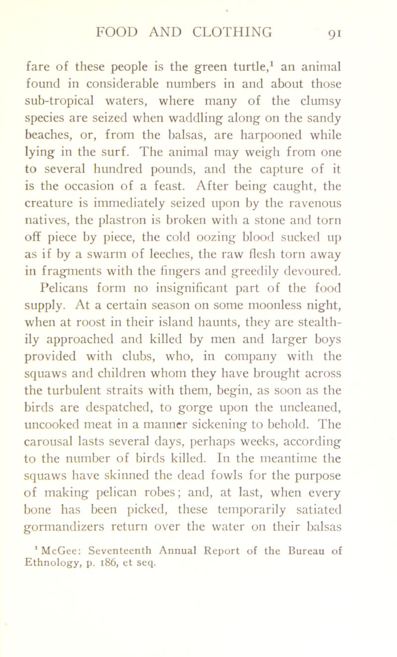 fare of these people is the green turtle,1 an animal found in considerable numbers in and about those sub-tropical waters, where many of the clumsy species are seized when waddling along on the sandy beaches, or, from the balsas, are harpooned while lying in the surf. The animal may weigh from one to several hundred pounds, and the capture of it is the occasion of a feast. After being caught, the creature is immediately seized upon by the ravenous natives, the plastron is broken with a stone and torn off piece by piece, the cold oozing blood sucked up as if by a swarm of leeches, the raw flesh torn away in fragments with the fingers and greedily devoured. Pelicans form no insignificant part of the food supply. At a certain season on some moonless night, when at roost in their island haunts, they are stealth- ily approached and killed by men and larger boys provided with clubs, who, in company with the squaws and children whom they have brought across the turbulent straits with them, begin, as soon as the birds are despatched, to gorge upon the uncleaned, uncooked meat in a manner sickening to behold. The carousal lasts several days, perhaps weeks, according to the number of birds killed. In the meantime the squaws have skinned the dead fowls for the purpose of making pelican robes; and, at last, when every bone has been picked, these temporarily satiated gormandizers return over the water on their balsas ‘McGee: Seventeenth Annual Report of the Bureau of Ethnology, p. 186, et seq.