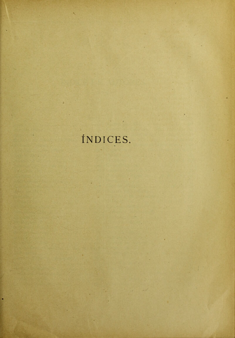 ÍNDICES.