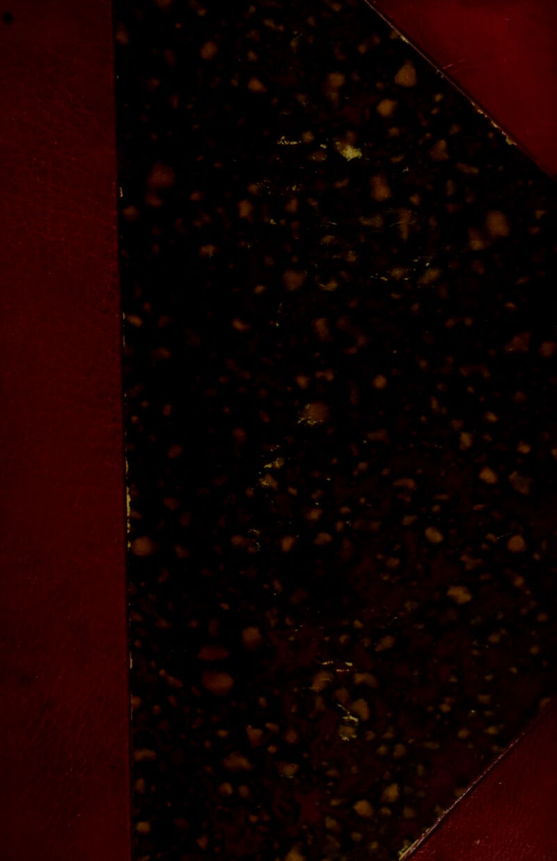 /•* } » t i y V- - I