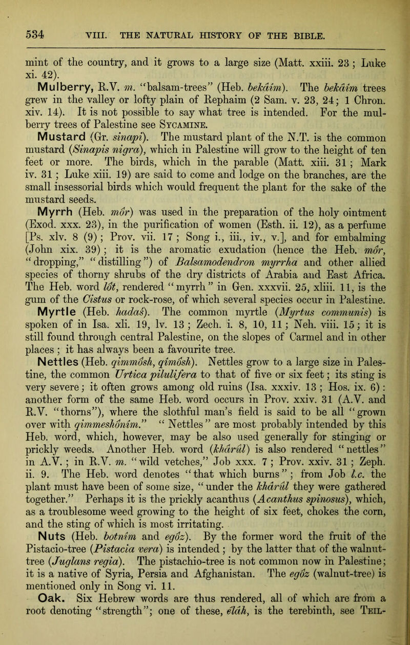 mint of the country, and it grows to a large size (Matt, xxiii. 23 ; Luke xi. 42). Mulberry, E.V. m. balsam-trees” (Heb. hehdim). The hekdim trees grew in the valley or lofty plain of Eephaim (2 Sam. v. 23, 24; 1 Chron. xiv. 14). It is not possible to say what tree is intended. For the mul- berry trees of Palestine see Sycamine. Mustard (Gr. sinapi). The mustard plant of the N.T. is the common mustard {Smapis nigra), which in Palestine will grow to the height of ten feet or more. The birds, which in the parable (Matt. xiii. 31 ; Mark iv. 31 ; Luke xiii. 19) are said to come and lodge on the branches, are the small insessorial birds which would frequent the plant for the sake of the mustard seeds. Myrrh (Heb. mor) was used in the preparation of the holy ointment (Exod. XXX. 23), in the purification of women (Esth. ii. 12), as a perfume [Ps. xlv. 8 (9); Prov. vii. 17 ; Song i., iii., iv., v.], and for embalming (John xix. 39); it is the aromatic exudation (hence the Heb. mor, “dropping,” “distilling”) of Balsamodendron myrrha and other allied species of thorny shrubs of the dry districts of Arabia and East Africa. The Heb. word lot, rendered “myrrh” in Gen. xxxvii. 25, xliii. 11, is the gum of the Cistus or rock-rose, of which several species occur in Palestine. Myrtle (Heb. hadas). The common myrtle {Myrtus communis) is spoken of in Isa. xli. 19, Iv. 13 ; Zech. i. 8, 10, 11; Neh. viii. 15; it is still found through central Palestine, on the slopes of Carmel and in other places ; it has always been a favourite tree. Nettles (Heb. qimmdsh, qimosh). Nettles grow to a large size in Pales- tine, the common Urtica pilulifera to that of five or six feet; its sting is very severe; it often grows among old ruins (Isa. xxxiv. 13 ; Hos. ix. 6): another form of the same Heb. word occurs in Prov. xxiv. 31 (A.V. and E.V. “thorns”), where the slothful man’s field is said to be all “grown over with qimmeshonim” “ Nettles” are most probably intended by this Heb. word, which, however, may be also used generally for stinging or prickly weeds. Another Heb. word {khdrul) is also rendered “nettles” in A.V. ; in E.V. m. “wild vetches,” Job xxx. 7 ; Prov. xxiv. 31; Zeph. ii. 9. The Heb. word denotes “that which burns”; from Job l.c. the plant must have been of some size, “ under the khdrul they were gathered together.” Perhaps it is the prickly acanthus {Acanthus spinosus), which, as a troublesome weed growing to the height of six feet, chokes the corn, and the sting of which is most irritating. Nuts (Heb. hotnim and egoz). By the former word the fruit of the Pistacio-tree {Pistacia vera) is intended ; by the latter that of the walnut- tree {Juglans regia). The pistachio-tree is not common now in Palestine; it is a native of Syria, Persia and Afghanistan. The egoz (walnut-tree) is mentioned only in Song vi. 11. Oak. Six Hebrew words are thus rendered, all of which are from a root denoting “strength”; one of these, eldh, is the terebinth, see Teil-