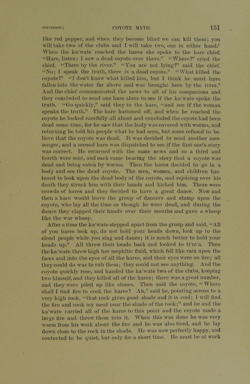 like red pepper, and when they become blind we can kill them; you will take two of the clubs and I will take two, one in either hand.” When the ka'wate reached the hares she spoke to the hare chief. “Hare, listen; I saw a dead coyote over there.” “Where?” cried the chief. “There by the river.” “You are not lying?” said the chief. “No; I speak the truth, there is a dead coyote.” “What killed the coyote?” “I don’t know what killed him, but I think he must have fallen into the water far above and was brought here by the river.” And the chief communicated the news to all of his companions and they concluded to send one hare alone to see if the ka'wate spoke the truth. “Go quickly,” said they to the liai’e, “and see if the woman speaks the truth.” The hare hastened off, and when he reached the coyote he looked carefully all about and concluded the coyote had been dead some time, for he saw that the body was covered with worms, and returning he told his people what lie had seen, but some refused to be- lieve that the coyote was dead. It was decided to send another mes- senger, and a second hare was dispatched to see if the first one’s story was correct. He returned with the same news and so a third and fourth were sent, and each came bearing the story that a coyote was dead and being eaten by worms. Then the hares decided to go in a body and see the dead coyote. The men, women, and children has- tened to look upon the dead body of the coyote, and rejoicing over his death they struck him with their hands and kicked him. There were crowds of hares and they decided to have a great dance. Now and then a hare would leave the group of dancers and stamp upon the coyote, who lay all the time as though he were dead, and during the dance they clapped their hands over their mouths and gave a whoop like the war whoop. After a time the ka'wate stepped apart from the group and said, “All of you hares look up, do not hold your heads down, look up to the cloud people while you sing and dance; it is much better to hold your heads up.” All threw their heads back and looked to ti'ni'a. Then the ka'wate threw high her mephitic fluid, which fell like rain upon the faces and into the eyes of all the hares, aud their eyes were on fire; all they could do was to rub them; they could not see anything. And the coyote quickly rose, and handed the ka'wate two of the clubs, keeping- two himself, aud they killed all of the hares; there was a great number, and they were piled up like stones. Then said the coyote, “ Where shall I find fire to cook the hares? Ah,” said he, pointing across to a very high rock, “that rock gives good shade and it is cool; I will find the fire and cook my meat near the shade of the rock;” and he and the ka'wate carried all of the hares to this point and the coyote made a large fire and threw them into it. When this was done he was very warm from his work about the fire and he was also tired, and lie lay down close to the rock in the shade. He was now perfectly happy, and contented to be quiet, but only for a short time. He must be at work