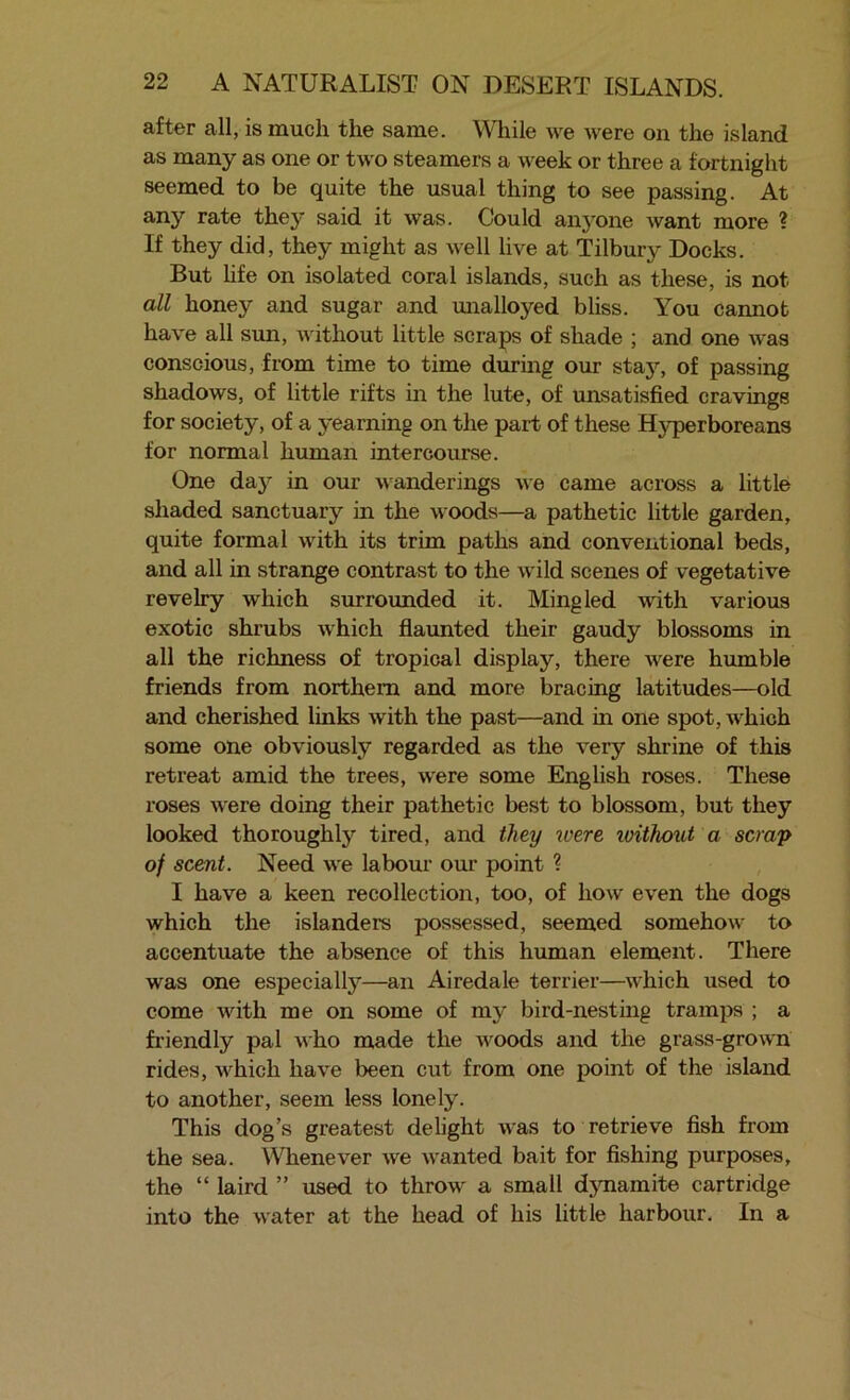 after all, is much the same. While we were on the island as many as one or two steamers a week or three a fortnight seemed to be quite the usual thing to see passing. At any rate thej^ said it was. Could aii3one want more ? If they did, they might as well live at Tilbury Docks. But life on isolated coral islands, such as these, is not all honey and sugar and unalloyed bliss. You carmot have all sun, without little scraps of shade ; and one was conscious, from time to time during our staj’’, of passing shadows, of little rifts in the lute, of unsatisfied cravings for society, of a yearning on the part of these H5q)erboreans for normal human intercourse. One day in our wanderings we came across a little shaded sanctuary in the woods—a pathetic little garden, quite formal with its trim paths and conventional beds, and all in strange contrast to the wild scenes of vegetative revelry which surrounded it. Mingled with various exotic shrubs which flaunted their gaudy blossoms in all the richness of tropical display, there were humble friends from northern and more bracing latitudes—old and cherished links with the past—and in one spot, which some one obviously regarded as the very shrine of this retreat amid the trees, w'ere some English roses. These roses Avere doing their pathetic best to blossom, but they looked thoroughly tired, and they were loithout a scrap of scent. Need \A'e labour oui* point 1 I have a keen recollection, too, of hoAV even the dogs which the islanders possessed, seemed somehoAV to accentuate the absence of this human element. There was one especiallj’’—an Airedale terrier—Avhich used to come Avith me on some of my bird-nesting tramps ; a friendly pal Avho made the Avoods and the grass-groAvn rides, which hav^e been cut from one point of the island to another, seem less lonely. This dog’s greatest delight Avas to retrieve fish from the sea. Whenever Ave Avanted bait for fishing purposes, the “ laird ” used to throAv a small djmamite cartridge into the Avater at the head of his little harbour. In a
