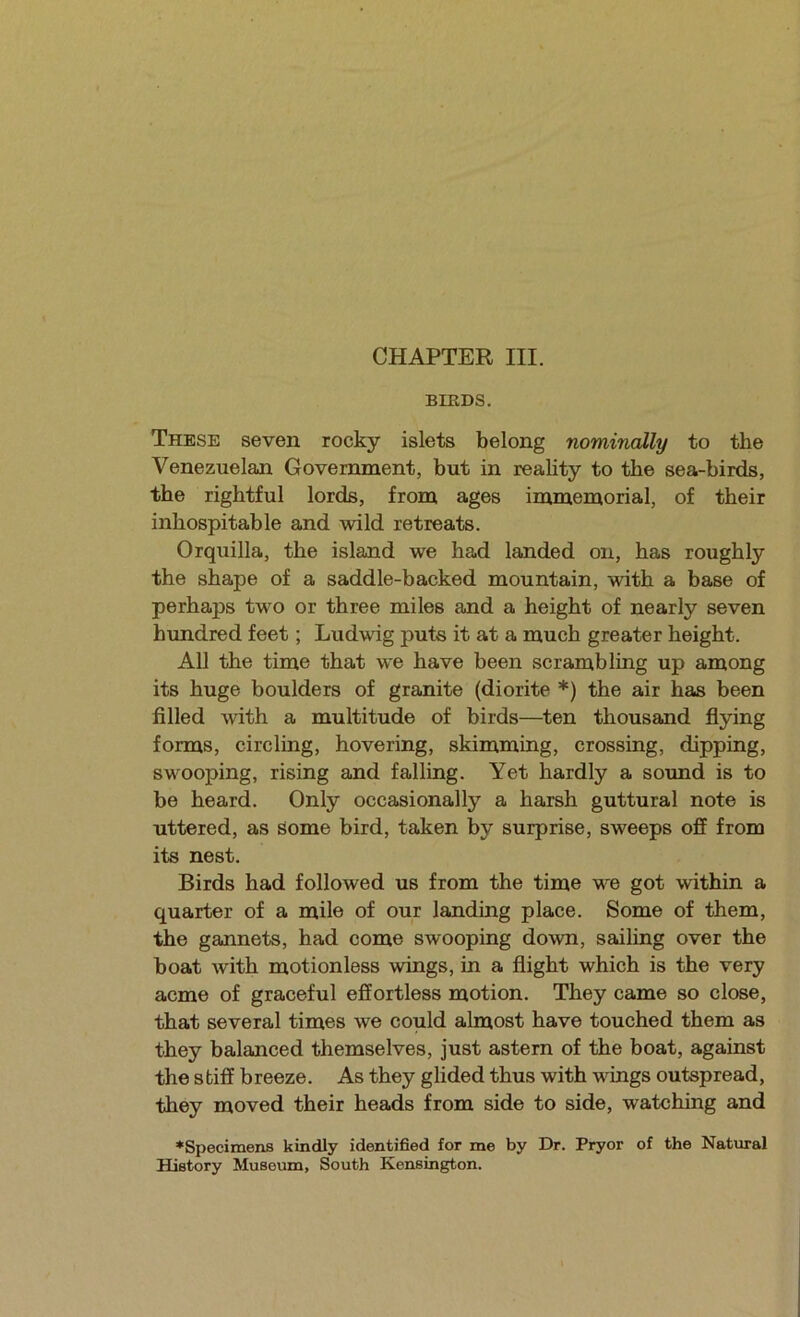 CHAPTER III. BIRDS. These seven rocky islets belong nominally to the Venezuelan Government, but in reality to the sea-birds, the rightful lords, from ages immemorial, of their inhospitable and wild retreats. Orquilla, the island we had landed on, has roughly the shape of a saddle-backed mountain, with a base of perhaps two or three miles and a height of nearly seven hundred feet; Ludwig puts it at a much greater height. All the time that we have been scrambling up among its huge boulders of granite (diorite *) the air has been filled with a multitude of birds—ten thousand flying forms, circling, hovering, skimming, crossing, dipping, swooping, rising and falling. Yet hardly a sound is to be heard. Only occasionally a harsh guttural note is uttered, as Some bird, taken by surprise, sweeps off from its nest. Birds had followed us from the time we got within a quarter of a mile of our landing place. Some of them, the gannets, had come swooping down, sailing over the boat with motionless wings, in a flight which is the very acme of graceful effortless motion. They came so close, that several times we could almost have touched them as they balanced themselves, just astern of the boat, against the stiff breeze. As they glided thus with wings outspread, they moved their heads from side to side, watching and ♦Specimens kindly identified for me by Dr. Pryor of the Natural History Museum, South Kensington.