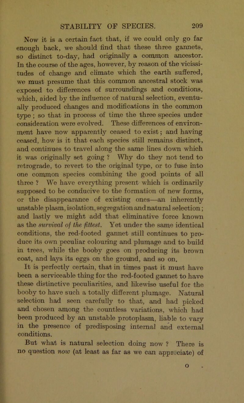 Now it is a certain fact that, if we could only go far enough back, we should find that these three gannets, so (fistinct to-day, had originally a common ancestor. In the course of the ages, however, by reason of the vicissi- tudes of change and climate which the earth suffered, we must presume that this common ancestral stock was exposed to differences of surroundings and conditions, which, aided by the influence of natural selection, eventu- ally produced changes and modifications in the common type ; so that in process of time the three species under consideration were evolved. These differences of environ- ment have now apparently ceased to exist; and having ceased, how is it that each species still remains distinct, and continues to travel along the same lines down which it was originally set going ? Why do they not tend to retrograde, to revert to the original type, or to fuse into one common species combining the good points of all three ? We have everything present which is ordinarily supposed to be conducive to the formation of new forms, or the disappearance of existing ones—an inherently unstable plasm, isolation, segregationandnatural selection; and lastly we might add that eliminative force known as the survival of the fittest. Yet under the same identical conditions, the red-footed gannet still continues to pro- duce its own pecuhar colouring and plumage and to build in trees, while the booby goes on producing its brown coat, and lays its eggs on the ground, and so on. It is perfectly certain, that in times past it must have been a serviceable thing for the red-footed gannet to have these distinctive peculiarities, and likewise useful for the booby to have such a totally different plumage. Natural selection had seen carefully to that, and had picked and chosen among the countless variations, which had been produced by an imstable protoplasm, liable to vary in the presence of predisposing internal and external conditions. But what is natural selection doing now ? There is no question now (at least as far as we can appr.^ciate) of o