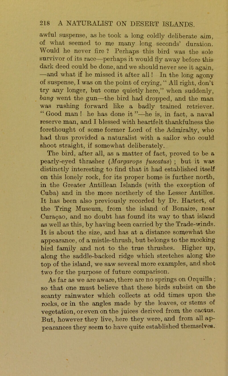 awful suspense, as he took a long coldly deliberate aim, of what seemed to me many long seconds’ duration. Would he never fire ? Perhaps this bird was the sole survivor of its race—^perhaps it would fly away before this dark deed could be done, and we should never see it again, —and what if he missed it after all! In the long agony of suspense, I was on the point of crying, “ All right, don’t try any longer, but come quietly here,” when suddenly, hang went the gun—the bird had dropped, and the man was rushing forward like a badly trained retriever. “ Good man ! he has done it ”—^he is, in fact, a naval reserve man, and I blessed with heartfelt thankfulness the forethought of some former Lord of the Admiralty, who had thus provided a naturalist with a sailor who could shoot straight, if somewhat dehberately. The bird, after all, as a matter of fact, proved to be a pearly-eyed thrasher {Margarops fuscatus) ; but it was distinctly interesting to find that it had established itself on this lonely rock, for its proper home is further north, in the Greater Antillean Islands (with the exception of Cuba) and in the more northerly of the Lesser Antilles. It has been also previously recorded by Dr. Hartert, of the Tring Museum, from the island of Bonaire, near Cura9ao, and no doubt has found its way to that island as well as this, by having been carried by the Trade-winds. It is about the size, and has at a distance somewhat the appearance, of a mistle-thrush, but belongs to the mocking bird family and not to the true thrushes. Higher up, along the saddle-backed ridge which stretches along the top of the island, we saw several more examples, and shot two for the purpose of future comparison. As far as we are aware, there are no springs on Orquilla ; so that one must beheve that these birds subsist on the scanty rainwater which collects at odd times upon the rocks, or in the angles made by the leaves, or stems of vegetation, or even on the juices derived from the cactus. But, however they live, here they were, and from all ap- pearances they seem to have quite estabUshed themselves.