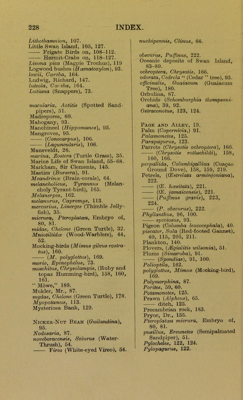 Lithothamnion, 107. Little Swan Island, 105, 127. Frigate Birds on, 108-112. Hermit-Crabs on, 118-127. Livona pica (Magpie Trochus), 119 Logwood bushes (^Lcematoxylon), 93. lowii, Ccereba, 164. Ludwig, Richard, 147. luteola, Gcc'cha, 164. Lvtiana (Snappers), 73. macularia, Actitia (Spotted Sand- pipers), 51. Madrepores, 60. Mahogany, 93. Manchineel {Hippomanes), 95. Mangroves, 95. {Conocarpus), 106. {Lagunoularid), 106. Mans veldt, 26. marina, Zostera (Turtle Grass), 35. Marine Life of Swan Island, 55-68. Markham, Sir Clements, 145. Mastics (Bursera), 91. Meandrinoe (Brain-corals), 64. melancholieus, Tyrannus (Melan- choly Tyrant-bird), 165. Melanerpes, 162. melanurus, Capromys, 113. mercurius, Linerges (Thimble Jelly- fish), 35. micrura, Pieroplakea, Embryo of, 80, 81. midas, Chelone (Green Turtle), 32. Mniotiltido! (Wood-Warblers), 44, 52. Mocking-birds {Mimus gUvus rostra- tua), 160. {M. polyglottua), 169. morio, Epinephelua, 73. moachitua, Ghryaolampia, (Ruby and topaz Humming-bird), 158, 160, 161. “Mowe,” 189. Mukler, Mr., 87. mydaa, Chelone (Green Turtle), 178. Myopotamua, 113. Mysteriosa Bank, 129. Nickek-Nut Bean {Quilandina), 95. Nodosaria, 87. noveboracenaia, Seiurua (Water- Thrush), 64. Vireo (White-eyed Vireo), 54. nuchipennia, Clinua, 66. obacurua, Pufflnua, 222. Oceanic deposits of Swan Island, 83-89. ochroptera, Chryaotia, 166. odorata, Gedrela “ (Cedar ” tree), 93. officinalis, Ouaiacum (Gxiaiacum Tree), 180. Orbuliria, 87. Orchids (Schomburghia thompaoni- ana), 39, 92. Oatraconotua, 123, 124. Page and Alley, 19. Palm {Copernicia,) 91. Palaemonetea, 125. Parapagurua, 123. Parrots (Chryaotia ochroptera), 166. (Chryaotia rothachildi), 168, 160, 166. perpallida, Golunibigallina (Cuagao Ground Dove), 168, 159, 219. Petrels, (CEatrelata arminjoniana), 223. (CE. hoeaitata), 221. (CE. jamaicenaia), 221. (Puffinua gravia), 223, 224. (P. obacurua), 222. Phyllanthua, 96, 100. apecioaua, 93. Pigeon (Golumba leucocephala), 40. piacator, Sula (Red-footed Gannet), 40, 115, 205, 211. Plankton, 140. Plovers, (AEgialitia wilaonia), 61. Plums (Simaruba), 91. (Spondiaa), 91, 100. PolioptUa, 162. polyglottua, Mimus (Mocking-bird), 169. Polymorphina, 87. Poritea, 69, 60. Potamonetea, 125. Prawn (Alpheus), 65. ditch, 126. Precambrian rock, 183. Pryor, Dr., 166. Pteroplatcea micrura. Embryo of, 80, 81. jnisillua, Ereunetea (Semipalmated Sandpiper), 61. Pylochelea, 122, 124. Pylopagurua, 122.