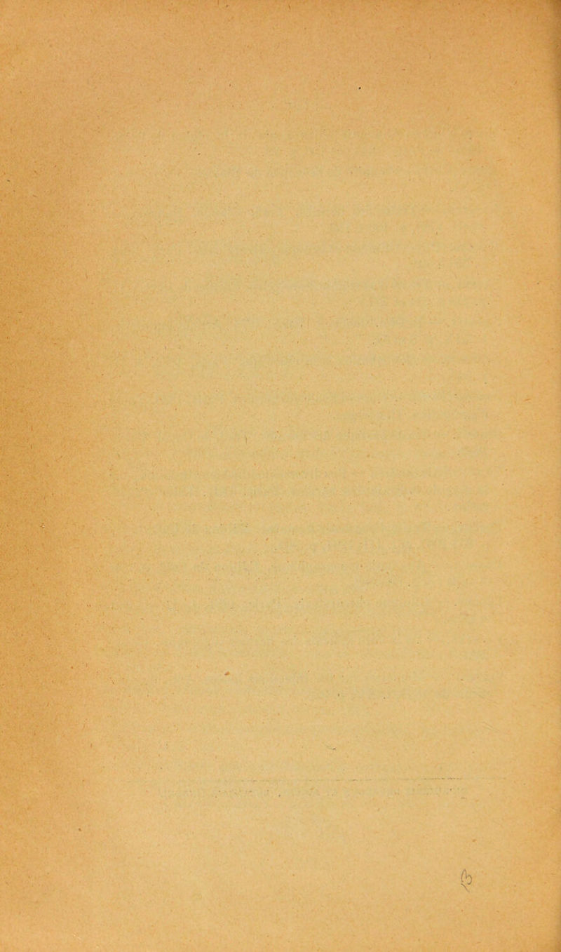 I : '' - ■ ■ V ' • ■rifcï-, • V ‘ V ' ’ * ■ h • • i fi *$*£*•••'*/ • 'Ak, . I ü? y
