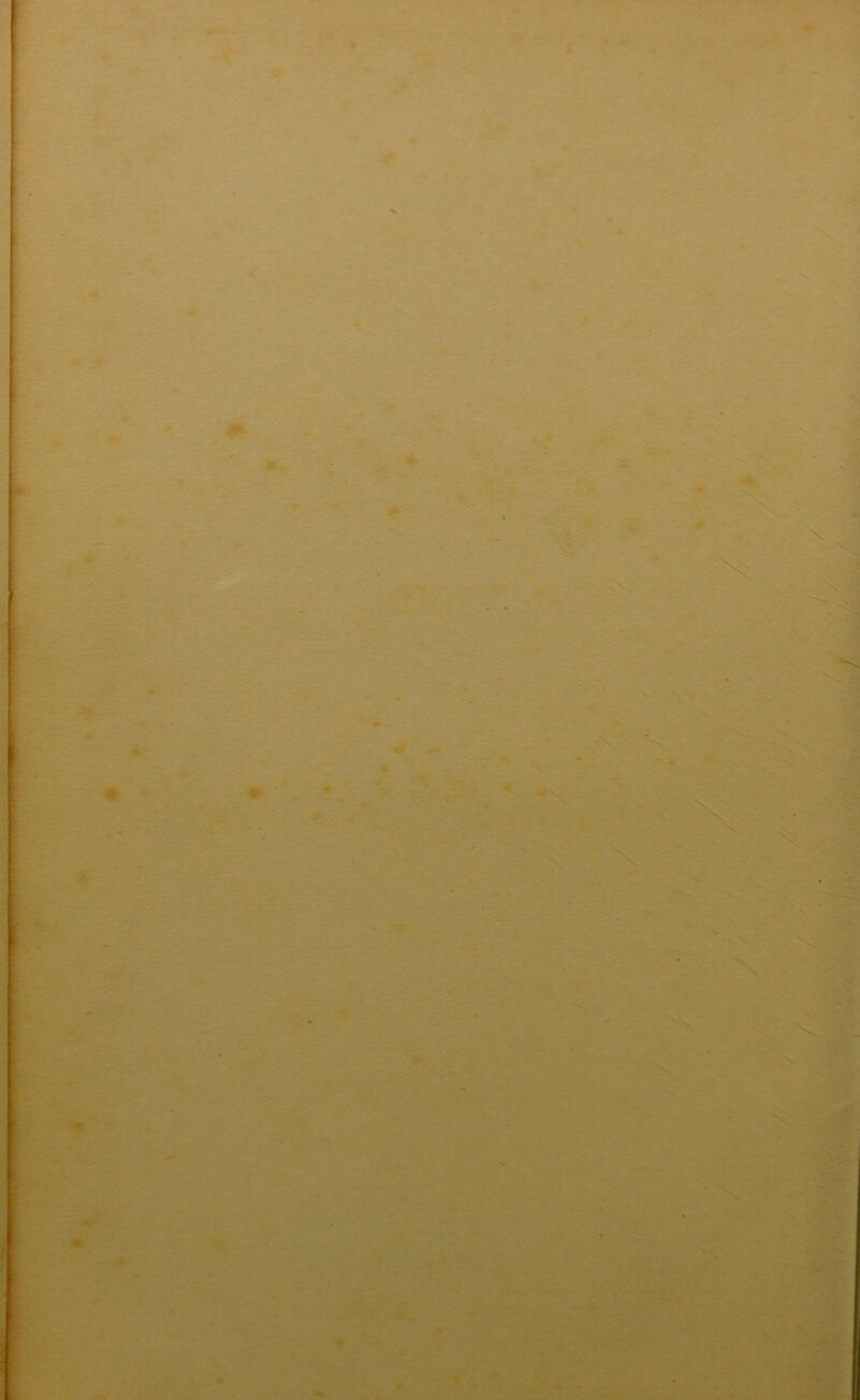 * y > * * -•c: . * ■.-ifeiMA