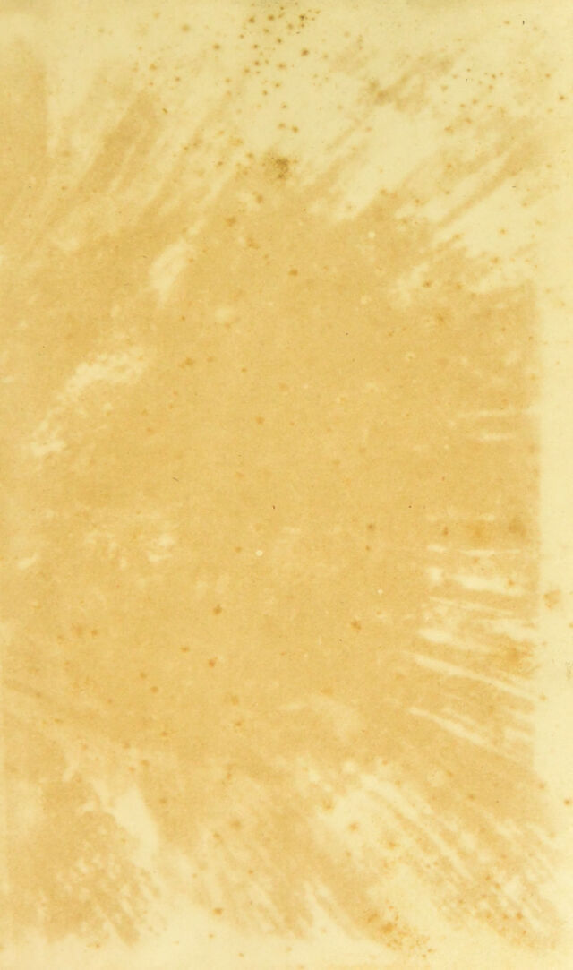 digitised image 3