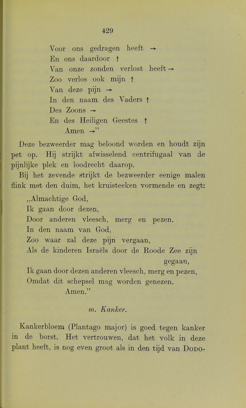 Voor ons gedragen heeft En ons daardoor t Van onze zonden verlost heeft ^ Zoo verlos ook mijn f Van deze pijn In den naam des Vaders t Des Zoons En des Heiligen Geestes t Amen -»>” Deze bezweerder mag beloond worden en houdt zijn pet op. Hij strijkt afwisselend centrifugaal van de pijnlijke plek en loodrecht daarop. Bij het zevende strijkt de bezweerder eenige malen flink met den duim, het kruisteeken vormende en zegt: ,,Almachtige God, Ik gaan door dezen. Door anderen vleesch, merg en pezen, In den naam van God, Zoo waar zal deze pijn vergaan. Als de kinderen Israëls door de Roode Zee zijn gegaan. Ik gaan door dezen anderen vleesch, merg en pezen. Omdat dit schepsel mag worden genezen. Amen.” m. Kanker. Kankerbloem (Plantage major) is goed tegen kanker I in de borst. Het vertrouwen, dat het volk in deze I plant heeft, is nog even groot als in den tijd van Dodo-