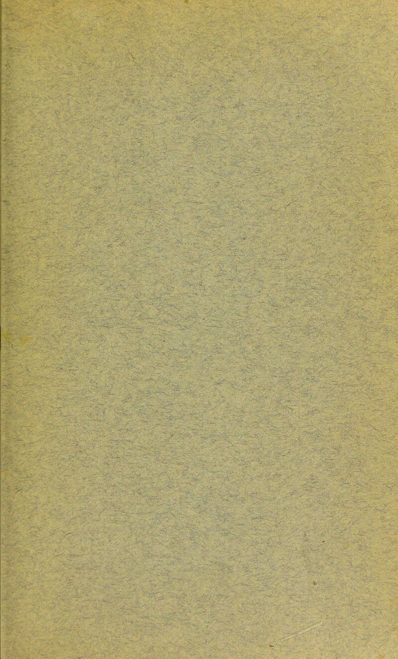 ■>v:' }■. , • ' ■ ■rè: - ■•■'■-