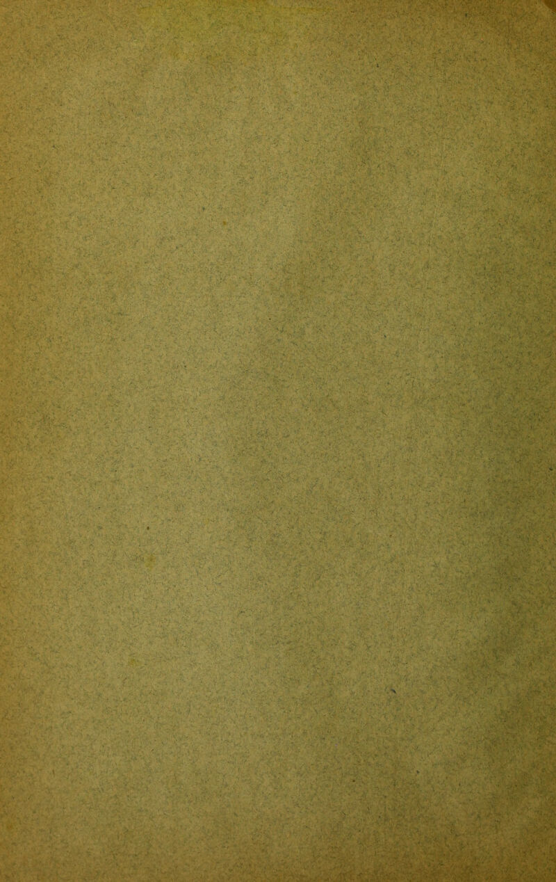 ■ r >ff:■■' t:'-' ■ ' V. l . .*< • .*• Í-V v * - ' ^ • • • . . ■ :;gm y<, ■••-i ; - - o.' ' V*V': *W4¿¿ - i ü 4 21 í v -V 1. ■ -■■••. • /.- --Í . .•*».*• • .c- • £-'■: - ■■■■'.:■• -A -v& • * ■ - - . V-v. c*' • •' .vv :■• -■ 'vM c'' „ $$'< •• ^í'-: ’'^V■ > jf-”V,*- ■„ . '■ >; '-V .; • - ■ ■ Á , WM .- , ■ ■ ”iv • /. • ■ V. i:.. ■*■ 3f ■ ■• . '■ •■; ■ • -'■ ■ ■■ ■ * - ; , - r- •. - •■:•-. . v* • . . .. . ' ' • ; * . *• ■ :,VÍ ,,í¿: tr.rw f»; 1: -■ ' :yVv •t , • ./ V ^ •' *’ ‘v ' ,■ -ir *>.-• •' ■ • ■ * ■ . ■ V1- . •' • •• ' *, ¿\‘ ‘ -- V. . \ ' . . ' ' > .**,■' ’ ■ v. O'w;\ i - ' > •: ; .... .1 ’J-jjt*4*■ ■ , -^r*■ *31 ; V - Z^'Á />'■ ■ Oí :’ ;-y'! V^'.: , y ' j ■■ ■, ■ O',.-'- '■ '''O/- '■■ i .■ : •: f‘,-í,»,t-: .o ^Mnini ' - ' ' ' ' . ' •• • -• • - V ' - - \ ' '• • ' ^ ¿SÉ * . .... > . .... !- . • ^ ;^ ^ - * Í;: