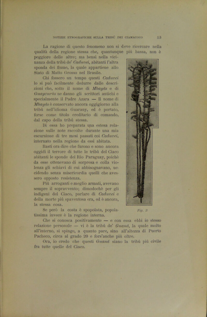 La ragione di questo fenomeno non si deve ricercare nella qualità della regione stessa che, quantunque più bassa, non è peggiore delle altre; ma bensì nella vici- nanza della tribù de’ Caduvei, abitanti l’altra sponda del fiume, la quale appartiene allo Stato di Matto Grosso nel Brasile. Chi fossero un tempo questi Caduvei lo si può facilmente dedurre dalle descri- zioni che, sotto il nome di Mhayds e di Guaycuriis ne danno gli scrittori antichi e specialmente il Padre Azara — Il nome di Mhayds è conservato ancora oggigiorno alla tribù nell’idioma Guarany, ed è portato, forse come titolo ereditario di comando, dal capo della tribù stessa. Di essa ho preparata una estesa rela- zione sulle note raccolte durante una mia escursione di tre mesi passati coi Caduvei, internato nella regione da essi abitata. Basti ora dire che furono e sono ancora oggidì il terrore di tutte le tribù del Giaco abitanti le sponde del Rio Paraguay, poiché da esse ottenevano di sorpresa e colla vio- lenza gli schiavi di cui abbisognavano, uc- cìdendo senza misericordia quelli che aves- sero opposto resistenza. Più arroganti e meglio armati, avevano sempre il sopravvento; dimodoché per gli indigeni del Giaco, parlare di Caduvei e della morte più spaventosa era, ed é ancora, la stessa cosa. Se però la costa é spopolata, popola- Fig. 3 tissima invece é la regione interna. Ghe si conosca positivamente — e con essa ebbi io stesso relazione personale — vi é la tribù de’ Guand, la quale molto all’interno, si spinge, a quanto pare, sino all’altezza di Puerto Pacheco, circa al grado 20 e fors’anche più oltre. Ora, io credo che questi Guand siano la tribù più civile fra tutte quelle del Giaco.