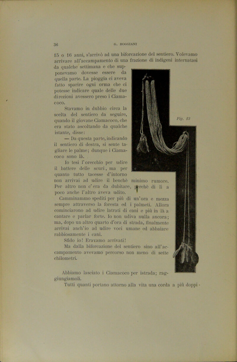 15 0 l() anni, s’arrivò ad una l)Hòrcazione del sentiero. Volevamo arrivare airaccanipamento di una Trazione di indigeni irjUirnatasi da qualche settimana e che sup- ponevamo dovesse essere da (jiiella parte. La pioggia ci aveva latto sparire ogni orma die ci potesse indicare quale delle due direzioni avessero preso i Giama- coco. Stavamo in dubbio circa la scelta del sentiero da seguire, quando il giovane Giamacoco, che era stato ascoltando da qualche istante, disse: — Da questa parte, indicando il sentiero di destra, si sente ta- gliare le palme; dunque i Giama- coco sono là. Io tesi r orecchio per udire il battere delle scuri, ma per quanto tutto tacesse d’intorno non arrivai ad udire il benché minimo rumore. Per altro non c’ era da dubitare, i:fcrchè di lì a poco anche l’altro aveva udito. * Gamminammo spediti per più di un’ora e mezza sempre attraverso la foresta ed i palmeti. Allora cominciarono ad udire latrati di cani e più in là a cantare e parlar forte. Io non udiva nulla ancora; ma, dopo un altro quarto d’ora di strada, finalmente arrivai anch’io ad udire voci umane ed abbaiare rabbiosamente i cani. Sfido io! Eravamo arrivati! Ma dalla biforcazione del sentiero sino all’ac- campamento avevamo percorso non meno di sette chilometri. Abbiamo lasciato i Giamacoco per istrada; rag- giungiamoli. Tutti quanti portano attorno alla vita una corda a più doppi •