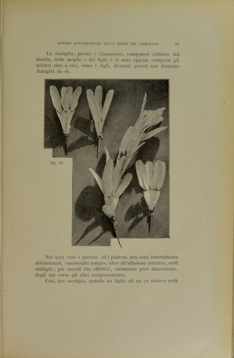 La famiglia, presso i Ciamacoco, componesi soltanto del marito, della moglie e dei figli, e vi sono appena compresi gii schiavi sino a die, come i lìgii, divenuti grandi non formano famiglia da sè. Nel (piai caso i parenti od i padroni non sono letteralmente abbandonati, sussistendo sempre, oltre aH’affezione istintiva, certi obblighi, pili morali che effettivi, raramente però dimenticati, degli imi verso gli altri reci])rocamente. Cosi, per esempio, quando un figlio od un ex schiavo avrà