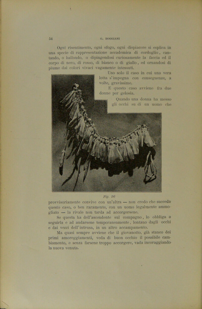 Oj>iii i-isciiLimeiito, sferro, O'riii dispiacere si esplica in una specie di rappresentazione accademica rii cordoglio, can- tando, 0 lìallando, o dipingendosi curiosamente la l’accia ed il corpo di nero, di l’osso, di bianco o di giallo, ed ornandosi di piume dai colori vivaci vagamente intessuti. Uno solo il caso in cui una vera lotta s’impegna con conseguenze, a volte, gravissime. E ([iiesto caso avviene fra due donne per gelosia. Quajido una donna ha messo gli occhi su di un uomo che Fio. 26 provvisoriamente convive con un’altra — non credo che succeda questo caso, o ben raramente, con un uomo legalmente ammo- gliato — la rivale non tarda ad accorgersene. Se questa ha dell’ascendente sul compagno, lo obbliga a seguirla e ad andarsene temporaneamente, lontano dagli occhi e dai vezzi dell’intrusa, in un altro accampamento. Ma quasi sempre avviene che il giovanotto, già stanco dei primi amoreggiamenti, veda di buon occhio il possibile cam- biamento, e senza farsene troppo accorgere, vada incoraggiando la nuova venuta.