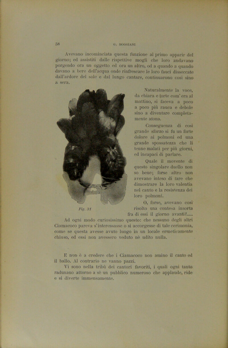 Avovaiio incominciata qiiosta Unv/Aoiui al primo aj>parir del g-ionio; ed assistiti dalle rispettive mogli die loro andavano porgendo ora un oggetto <‘d ora un altro, od a quando a quando davano a bere deiracqiia onde rinfrescare le loro fauci disseccati} dall’ardore del sole e dal lungo cantare, continuarono cosi sino a sera. -Xaturalmente la voce, da chiara e forte com'era al mattino, si faceva a pocx) a poco più rauca e debole sino a diventare compieta- mente atona. Conseguenza di cosi grande sforzo si fu un forte dolore ai polmoni ed una grande spossatezza che li tenne malati per più giorni, ed incapaci di parlare. Quale il movente di questo singolare duello non so bene; forse altro non avevano inteso di lare che dimostrare la loro valentia nel canto e la resistenza dei loro polmoni. 0, forse, avevano cosi Fifj. 31 risolto una contesa insorta fra di essi il giorno avanti? Ad ogni modo curiosissimo questo: che nessuno degli altri Ciamacoco pareva s’interessasse o si accorgesse di tale cerimonia, come se questa avesse avuto luogo in un locale ermeticamente chiuso, ed essi non avessero veduto nè udito nulla. E non è a credere che i Ciamacoco non amino il canto ed il ballo. Al contrario ne vanno pazzi. Vi sono nella tribù dei cantori favoriti, i quali ogni tanto radunano attorno a sè un pubblico numeroso che applaude, ride e si diverte immensamente.