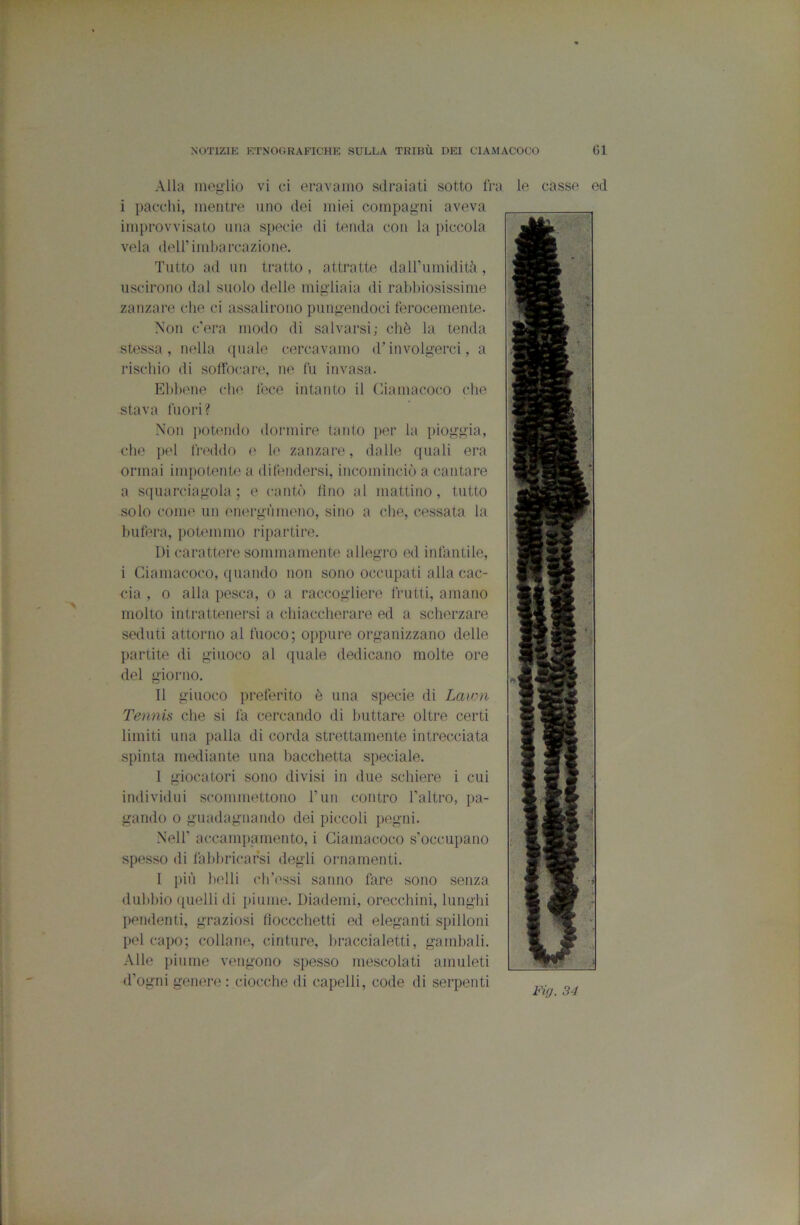 Alla meglio vi ci eravamo sdraiati sotto tra le casse ed i pacchi, mentre uno dei miei compagni aveva improvvisato una specie di tenda con la piccola vela deir ind)areazione. Tutto ad un tratto , attratte dairumidità , uscirono dal suolo delle migliaia di rabbiosissime zanzare che ci assalirono pungendoci terocemente. Non c’era modo di salvarsi; cbè la tenda stessa, nella quale cercavamo d’involgerci, a rischio di soffocare, ne fu invasa. Ebbene che fece intanto il Cianiaco(;o che stava fuori? Non ])Otendo dormire tanto per la pioggia, che pel fnvldo le zanzare, dalle quali era ormai impotente a difendersi, incominciò a cantare a squarciagola; e cantò lino al mattino, tutto solo come un energùmeno, sino a che, cessata la bufera, potemmo ripartire. Di carattere sommamente allegro ed infantile, i Cianiacoco, quando non sono occupati alla cac- cia , 0 alla pesca, o a raccogliere Iriitti, amano molto intrattenersi a cbiaceberare ed a scherzare seduti attorno al fuoco; oppure organizzano delle partite di giuoco al quale dedicano molte ore del giorno. Il giuoco prefei’ito è una specie di Lawn Tennis che si fa cercando di buttare oltre certi limiti una palla di corda strettamente intrecciata spinta mediante una bacchetta speciale. I giocatori sono divisi in due schiere i cui individui scommettono Tun contro l’altro, pa- gando 0 guadagnando dei piccoli pegni. Nell’ accanq)aniento, i Ciamacoco s’occupano sjiesso di fabbricarsi degli ornamenti. I più belli ch’ossi sanno fare sono senza dubbio quelli di [)iume. Diademi, orecchini, lunghi pendenti, graziosi hoccchetti ed eleganti spilloni pel capo; collane, cinture, braccialetti, gandiali. Alle piume vengono spesso mescolati amuleti (fogni genere : ciocche di capelli, code di serpenti