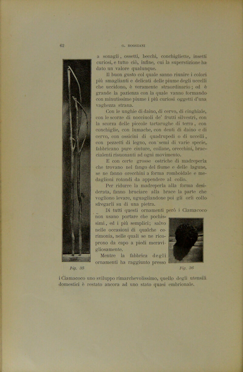 a sonaf^li , osseUi, Ijocclii, conchifrIif?tt^, insetti curiosi, e tutto ciò, infine, cui la SJijxirstizione ha (lato un valore qualunque. Il buon gusto col quale sanno riunire i colori più smaglianti 0 delicati delle piume degli uccelli che uccidono, è veramente straordinario ; ed k grande la pazienza con la quale vanno (ormando con minutissime piume i più curiosi oggetti d’uria vaghezza strana. Con le unghie di daino, di cervo, di cinghiale, con le scorze di nocciuoli de’ frutti silvestri, con la scorza delle piccole tartarughe di terra , con conchiglie, con lumache, con denti di daino e di cervo, con ossicini di quadrupedi o di uccelli, con pezzetti di legno, con semi di varie specie, fabbricano pure cinture, collane, orecchini, hrac- cialenti risuonanti ad ogni movimento. E con certe grosse ostriche di madreperla che trovano nel fango del fiume e delle lagune, se ne fanno orecchini a forma romboidale e me- daglioni rotondi da appendere al collo. Per ridurre la madreperla alla forma desi- derata, fanno bruciare alla brace la parte che vogliono levare, uguagliandone poi gli orli collo sfregarli su di una pietra. Di tutti questi ornamenti però i Giamacoco non usano portare che pochis- simi , ed i più semplici ; salvo nelle occasioni di qualche ce- rimonia, nelle quali se ne rico- prono da capo a piedi meravi- gliosamente. Mentre la fabbrica degli ornamenti ha raggiunto presso i Giamacoco uno sviluppo rimarclievolissimo, quello dogli utensili domestici è restato ancora ad uno stato quasi embrionale. A