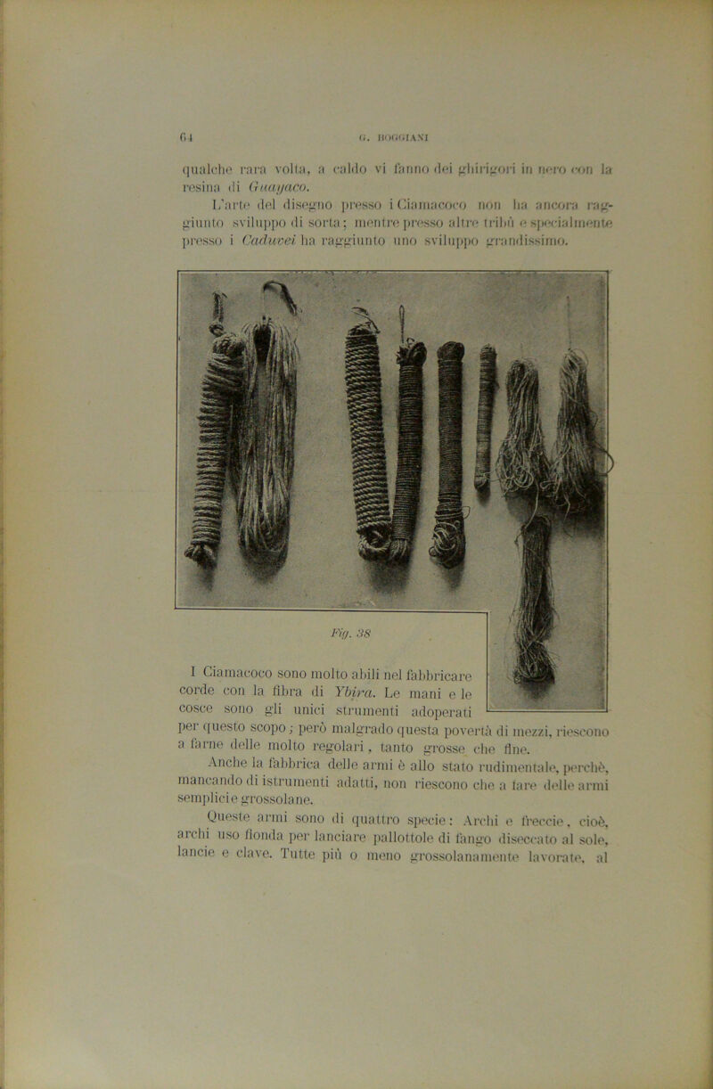 ([iialclie i-arn volta, a caldo vi Tanno dei {jinri'rori in nero eon la l'esina di Guanaco. I/arto del disegno ]»resso i (naniacoco non lia aiuxira r»{s~ •iinnto svilii])|)0 di sorta; ineidi-e jm'sso altre trillò e s|iecialinenie jiresso i Caduvei ha raj>'^iunto uno sviluppo <rra ridissi ino. Fìfj. 38 I Cianiacoco sono molto abili nel fabbricare coi’de con la libra di Ybirci. Le mani e le cosce sono gli unici strumenti adoperati ■-r„- É*:-. pel ffuesto scopo; però malgrado questa povertà di mezzi, riescono a farne delle molto regolari, tanto grosse che line. Anche la labbrica delle armi è allo stato rudimentale, pm’chò, mancando di istrumenti adatti, non riescono che a lare delle armi semplici e grossolane. Oneste armi sono di quattro specie : Archi e treccie, cioè, archi uso fionda per lanciare jiallottole di fango diseccato al sole, lande e clave. Tutte più o meno grossolanamente lavorate, al