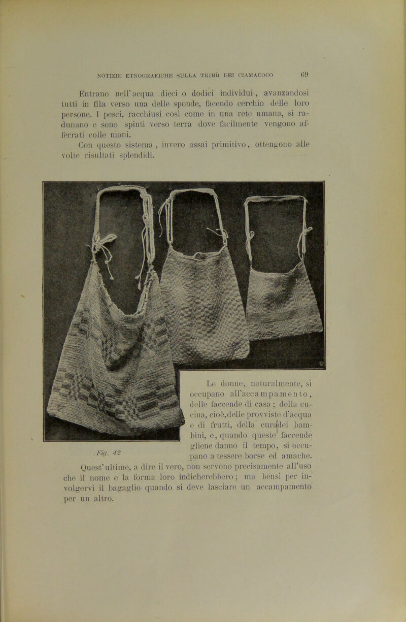 Entrano noiraa|iia (linci o dodici individui, avanzandosi tutti in fila, verso una d(dle sponde, facendo cerchio delle loro persone. I pesci, racchiusi cosi come iu una rete umana, si ra- dunano e sono spinti vfU'so terra dove facilmente vengono at- terrati colle mani. Con qiK'sto sistema, invero assai primitivo, ottengono alle volle risultati splendidi. ■'■■ir - J Fig. 42 Le donne, naturalnienhq si occupano alfacca mpa men t o , (hdle faccende di casa ; della cu- cina, cioè,delle jirovviste d’acciua e di frutti, della curadei liam- hini, e, quando queste faccende gliene danno il tenqto, si occu- jiano a tessere borse ed amache. Quest’ultinuq a dire il vero, non servono precisamente airuso che il nome e la forma loro indichervhhero ; ma bensì jier in- volgervi il bagaglio ([uando si deve lasciare un accamjìamento ]>er un altro.
